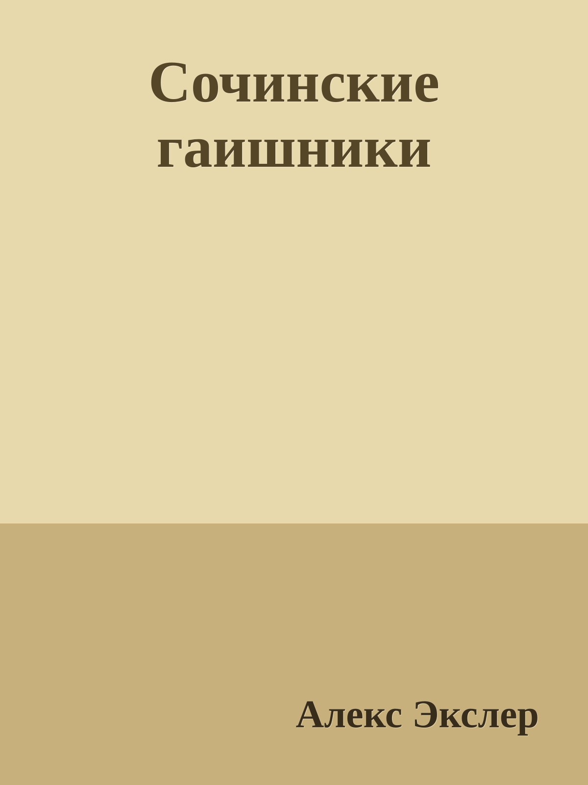 Сочинские гаишники