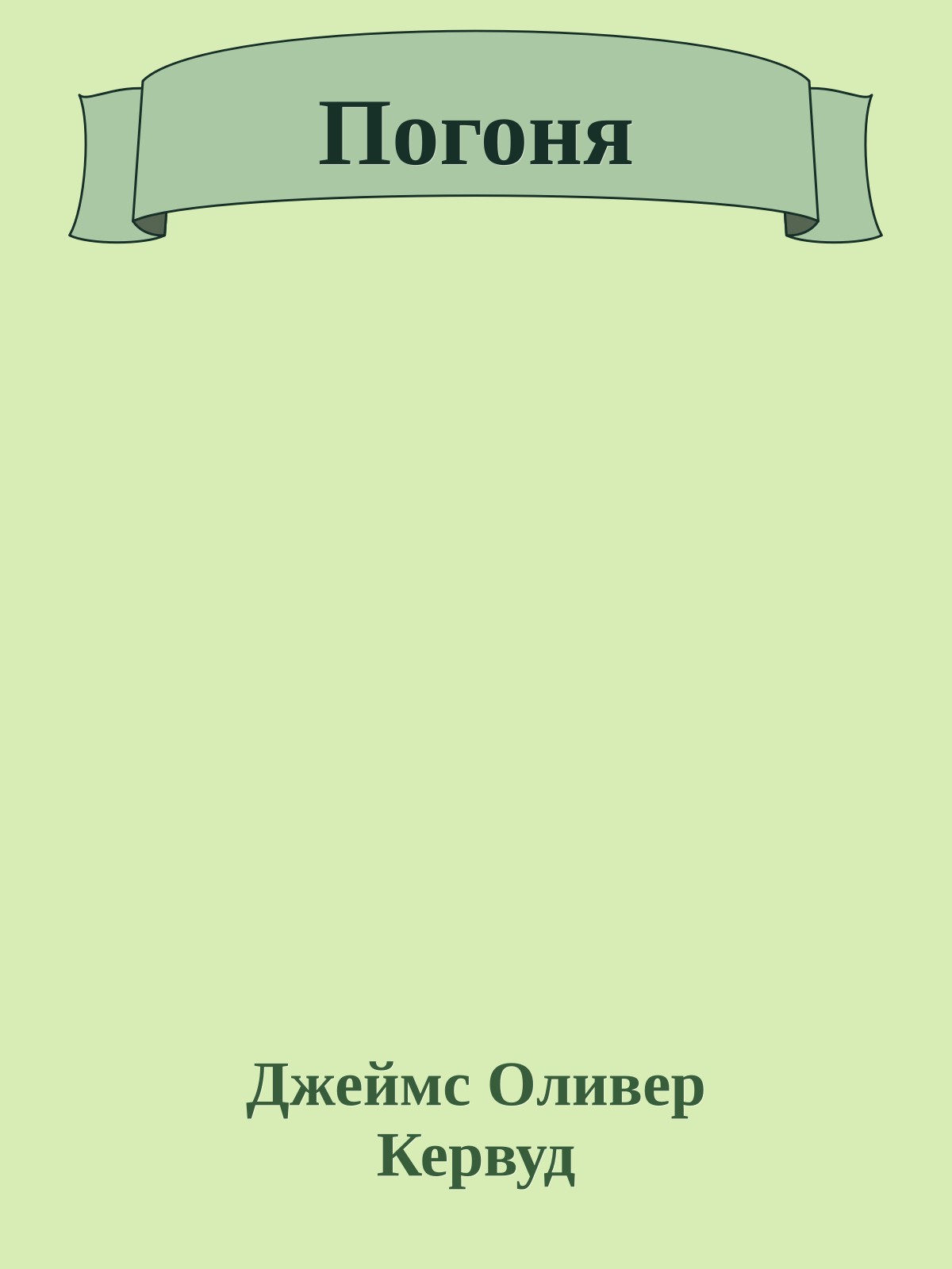 Погоня