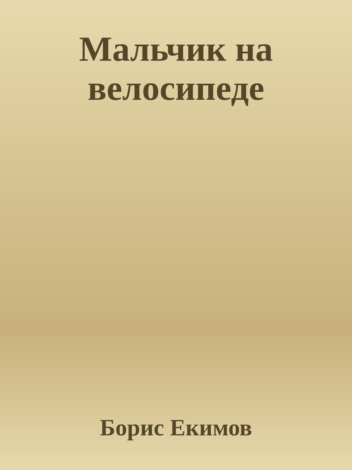 Мальчик на велосипеде