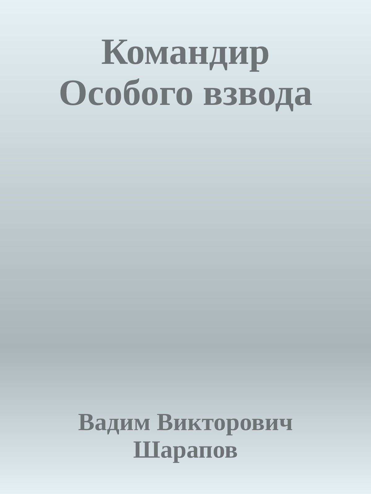 Командир Особого взвода