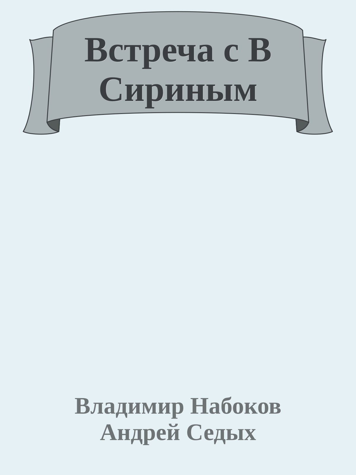 Встреча с В Сириным
