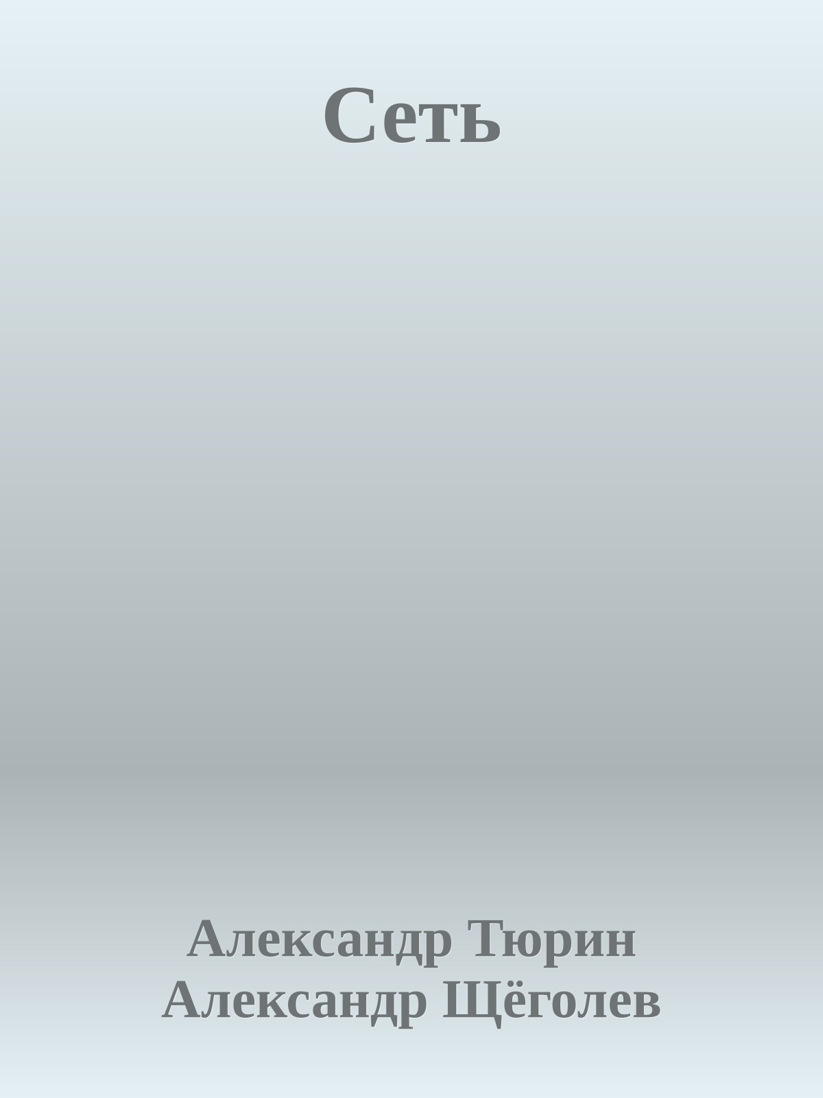 Сеть