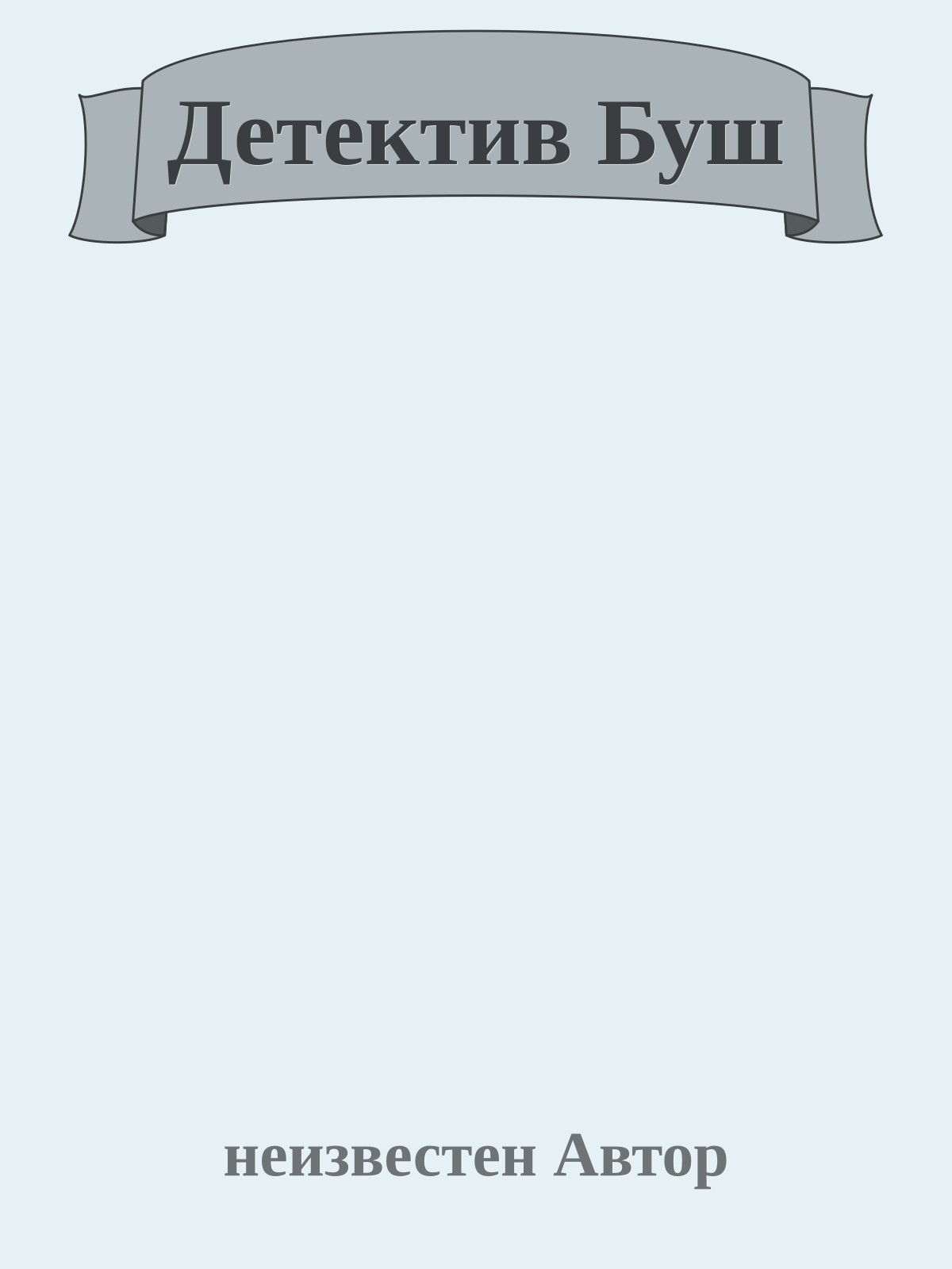 Детектив Буш