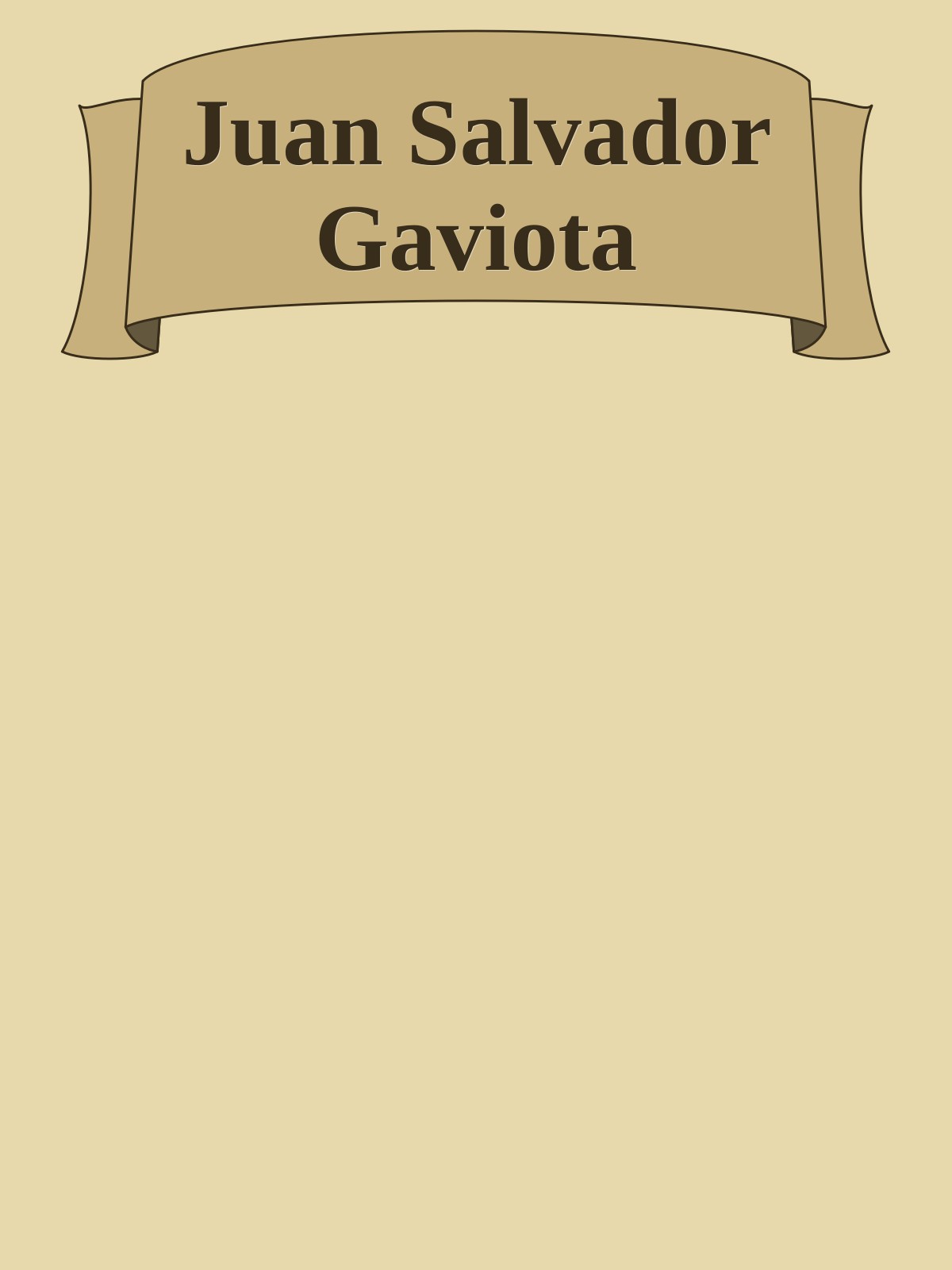 Juan Salvador Gaviota