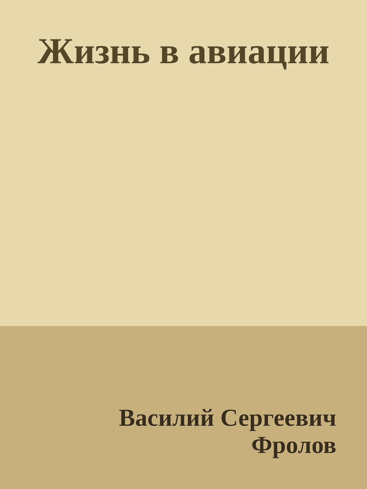 Жизнь в авиации