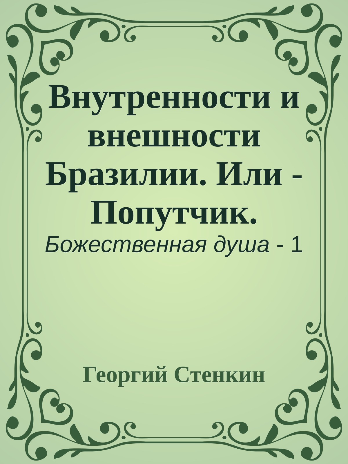 Внутренности и внешности Бразилии. Или - Попутчик.