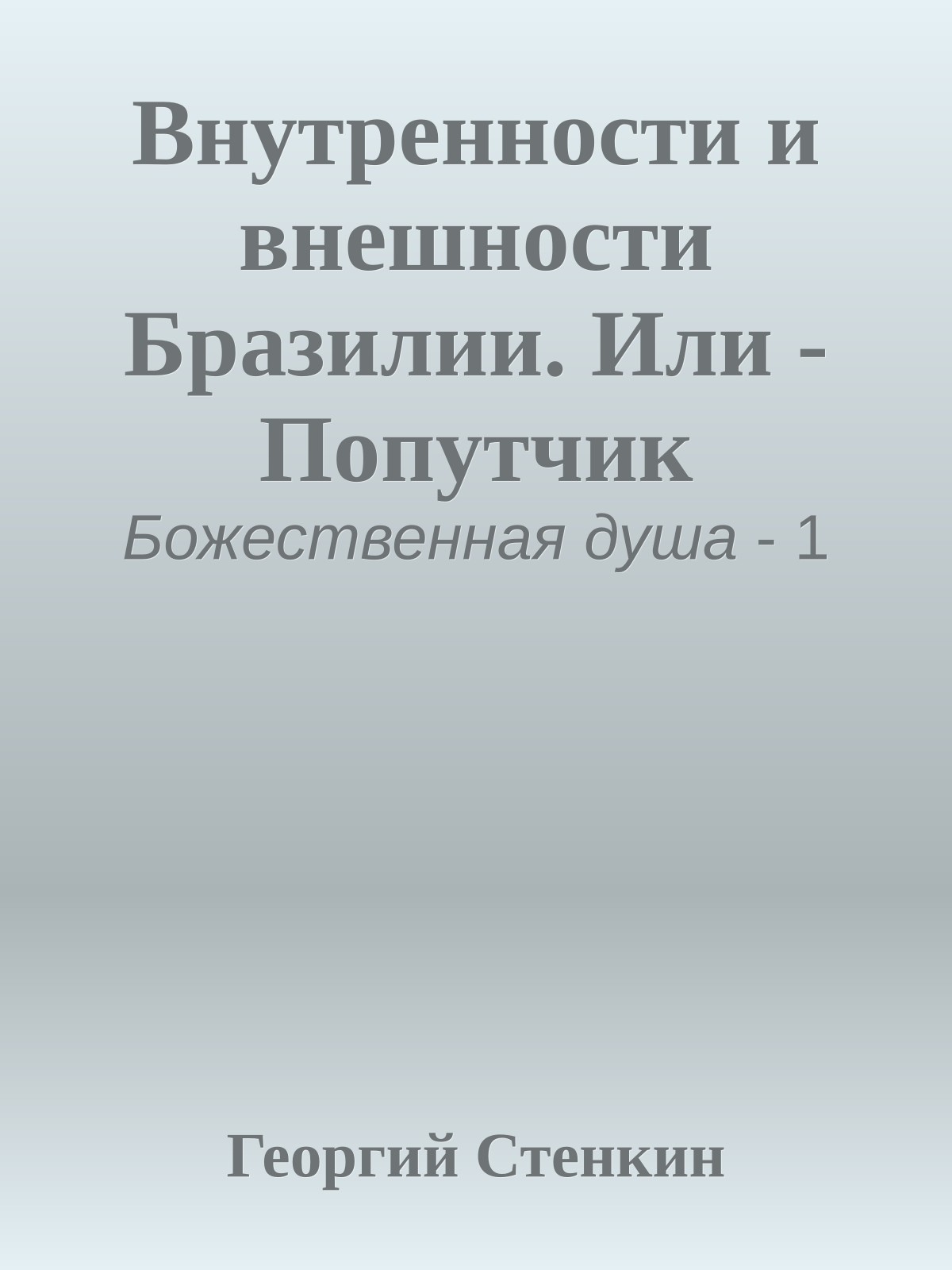 Внутренности и внешности Бразилии. Или - Попутчик