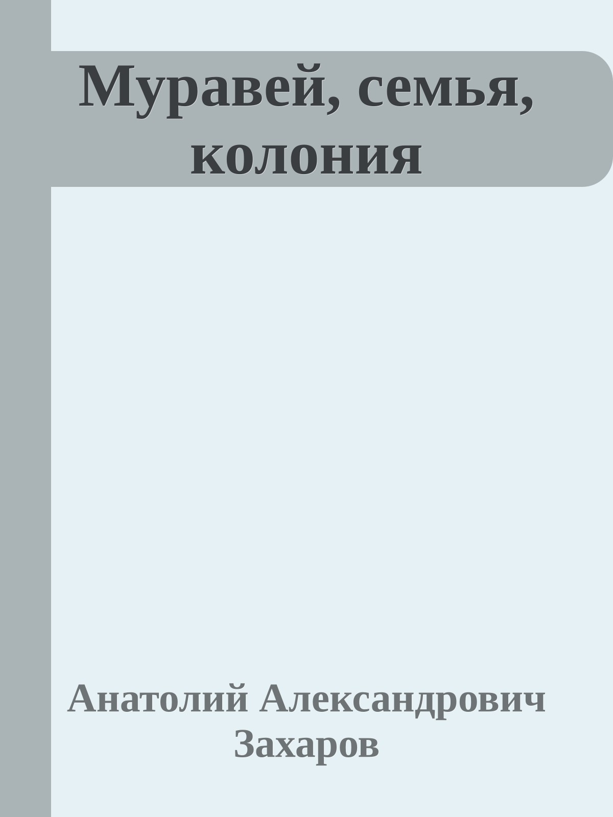 Муравей, семья, колония