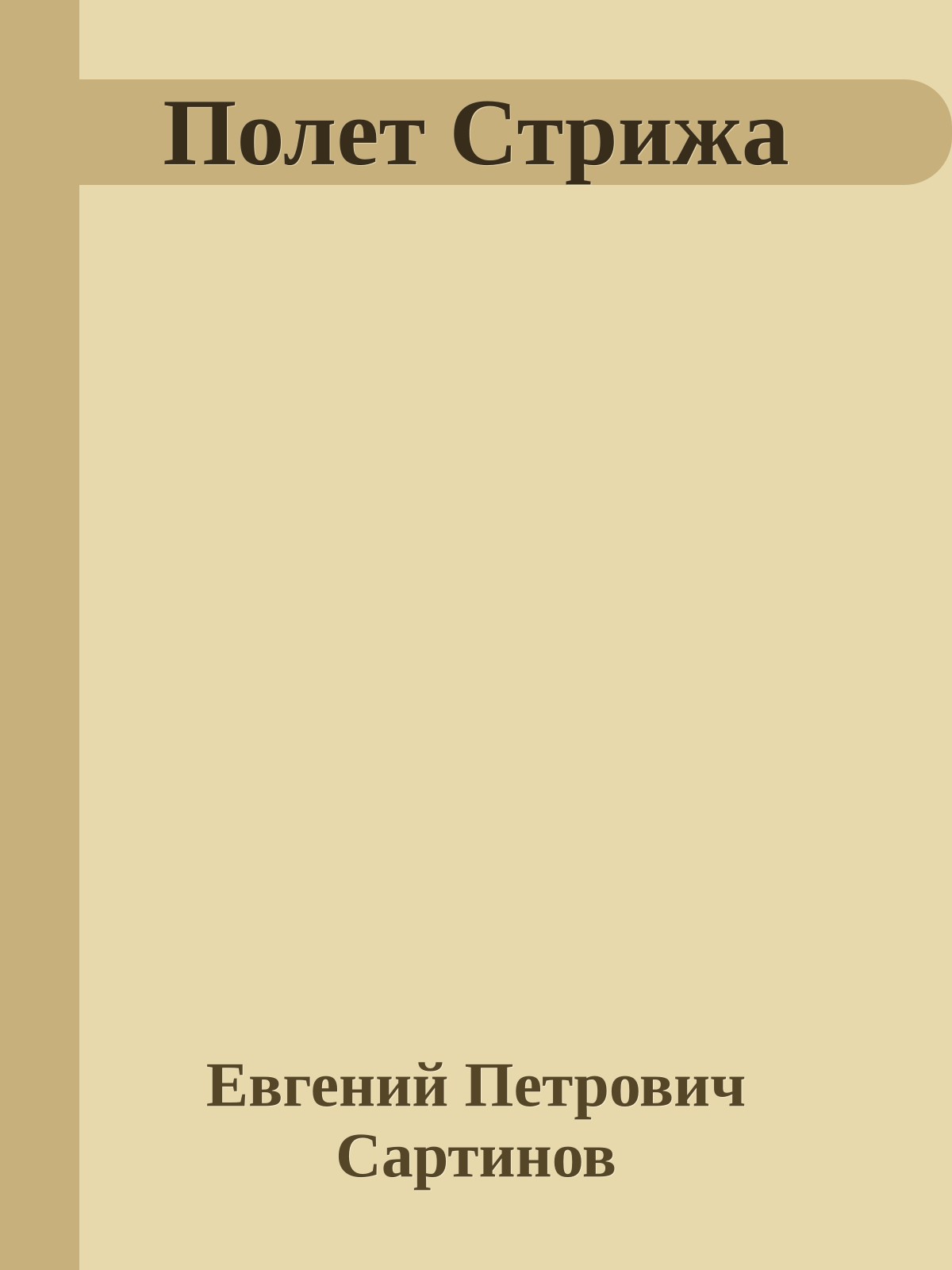Полет Стрижа