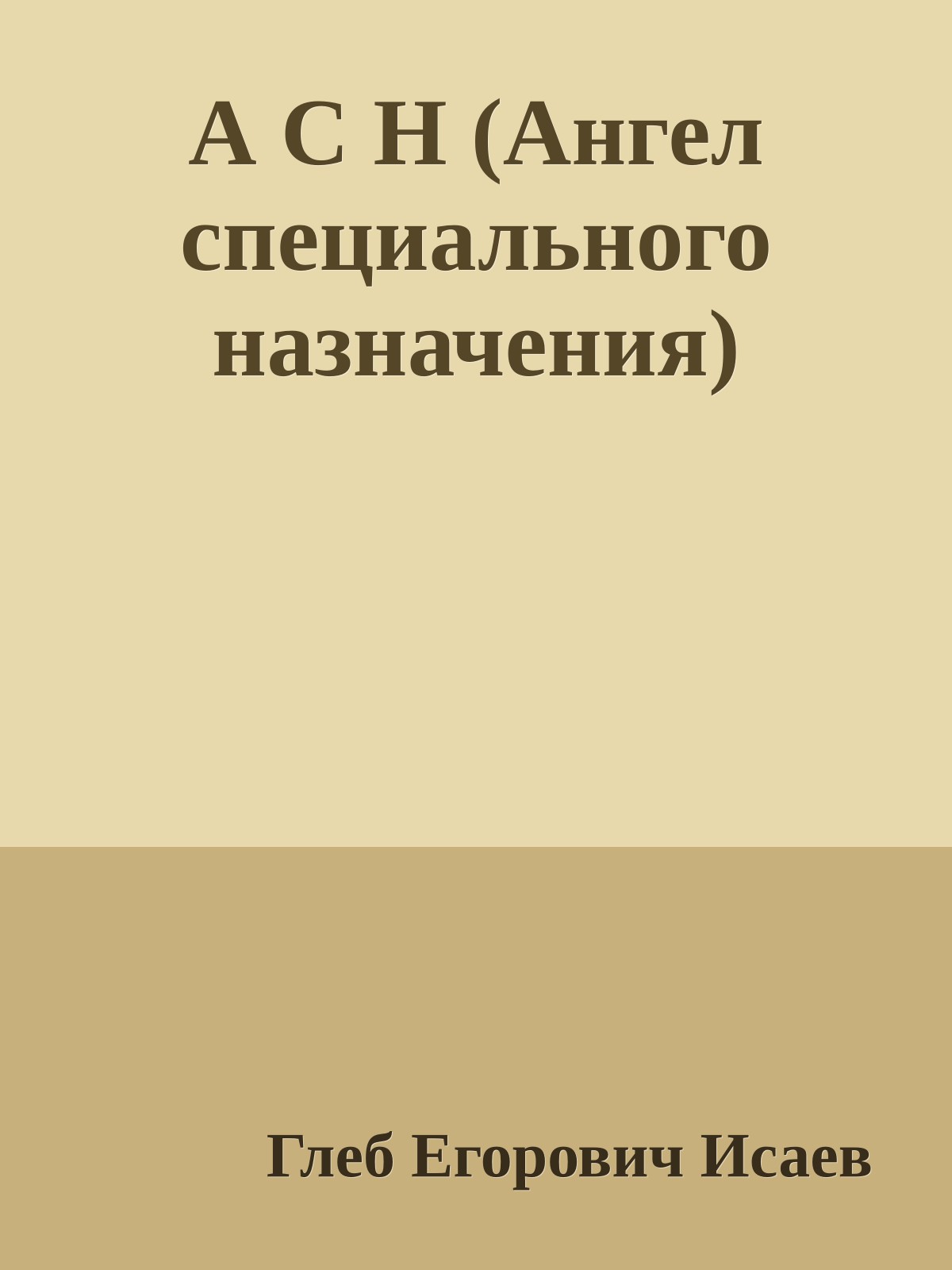 А С Н (Ангел специального назначения)