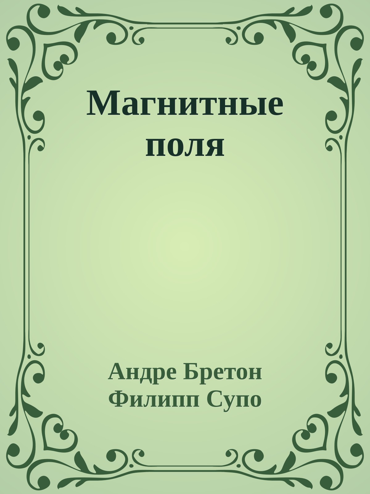 Магнитные поля