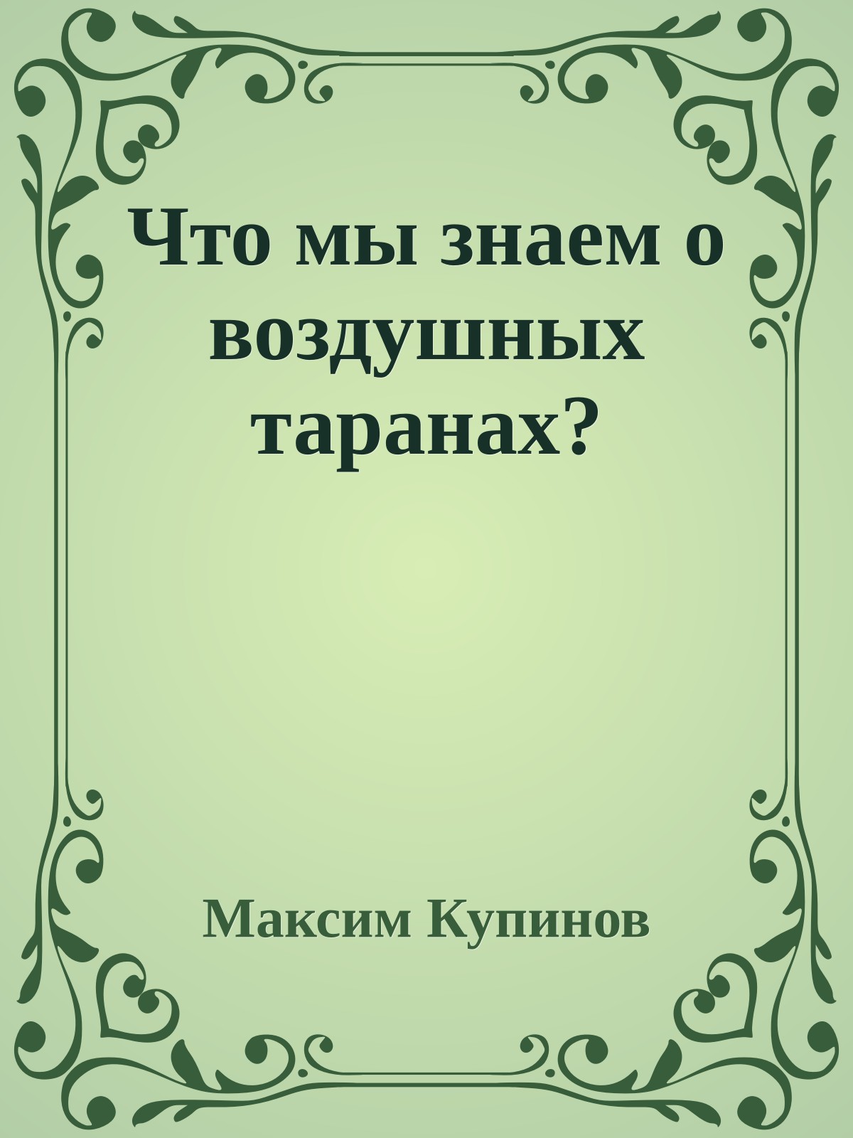 Что мы знаем о воздушных таранах?