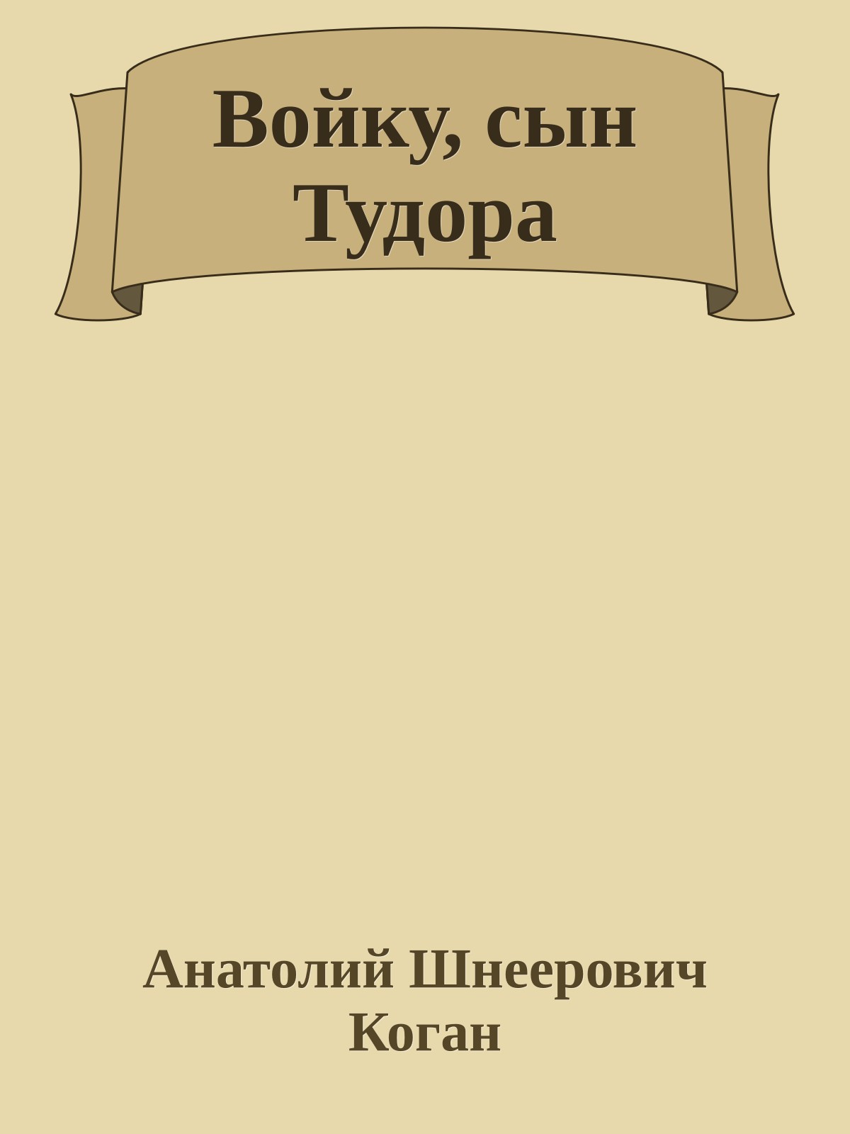 Войку, сын Тудора