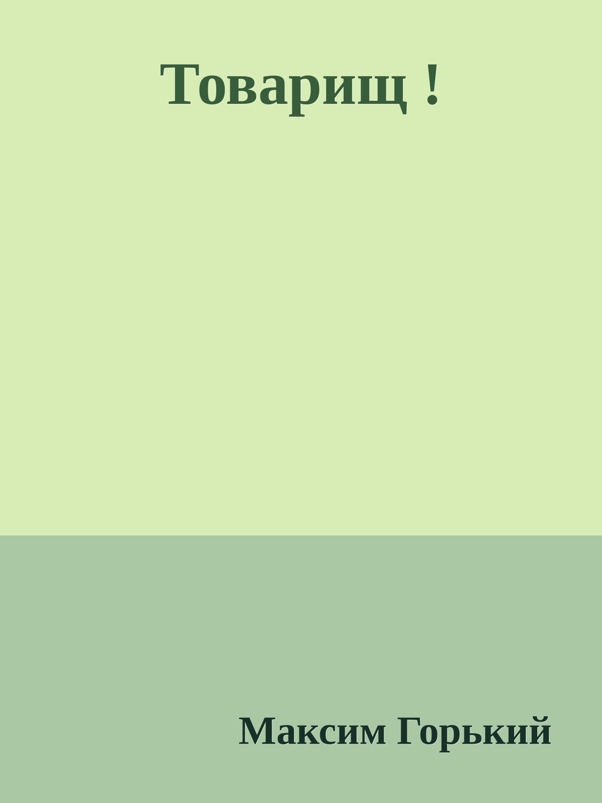Товарищ !
