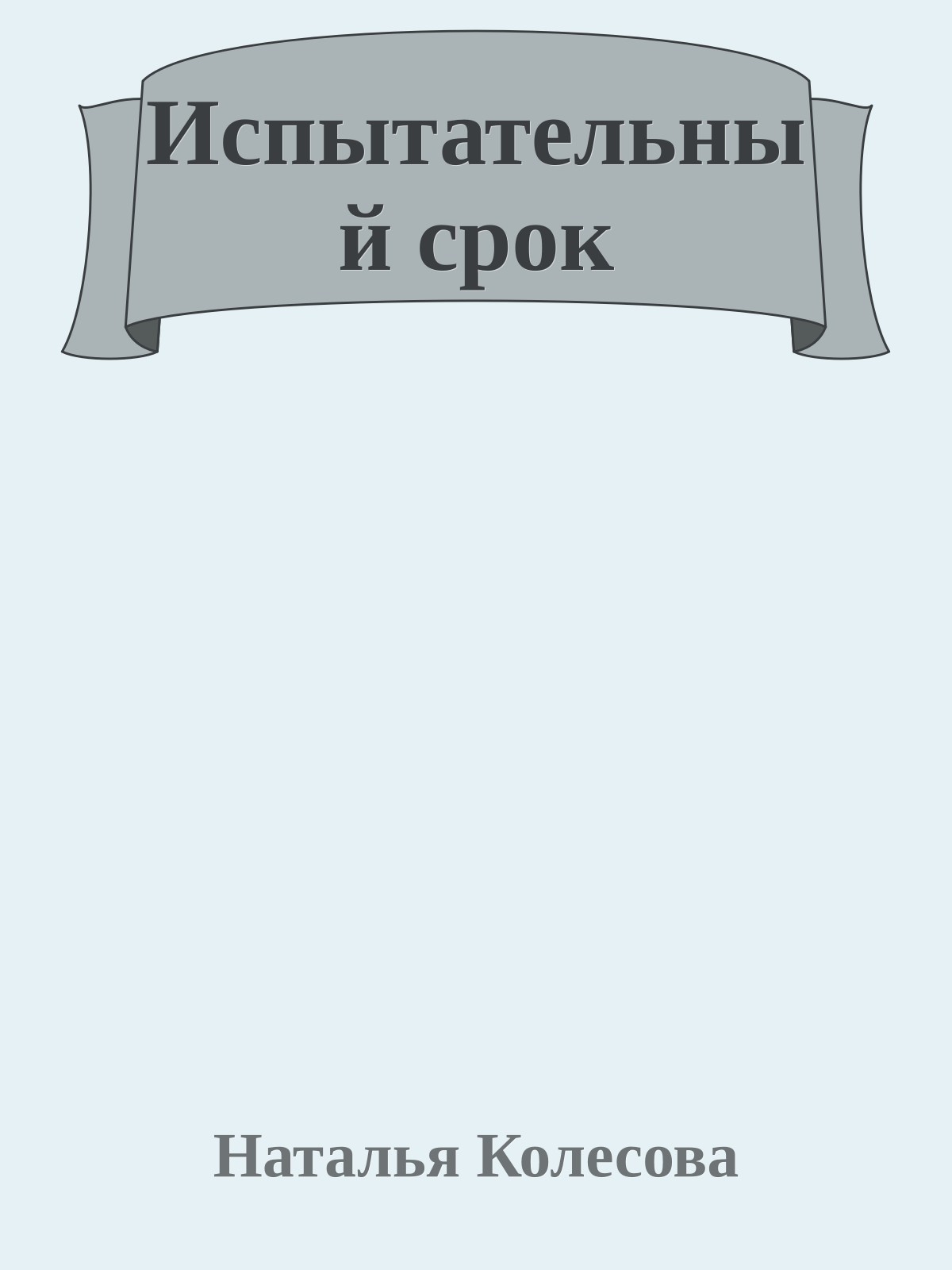 Испытательный срок