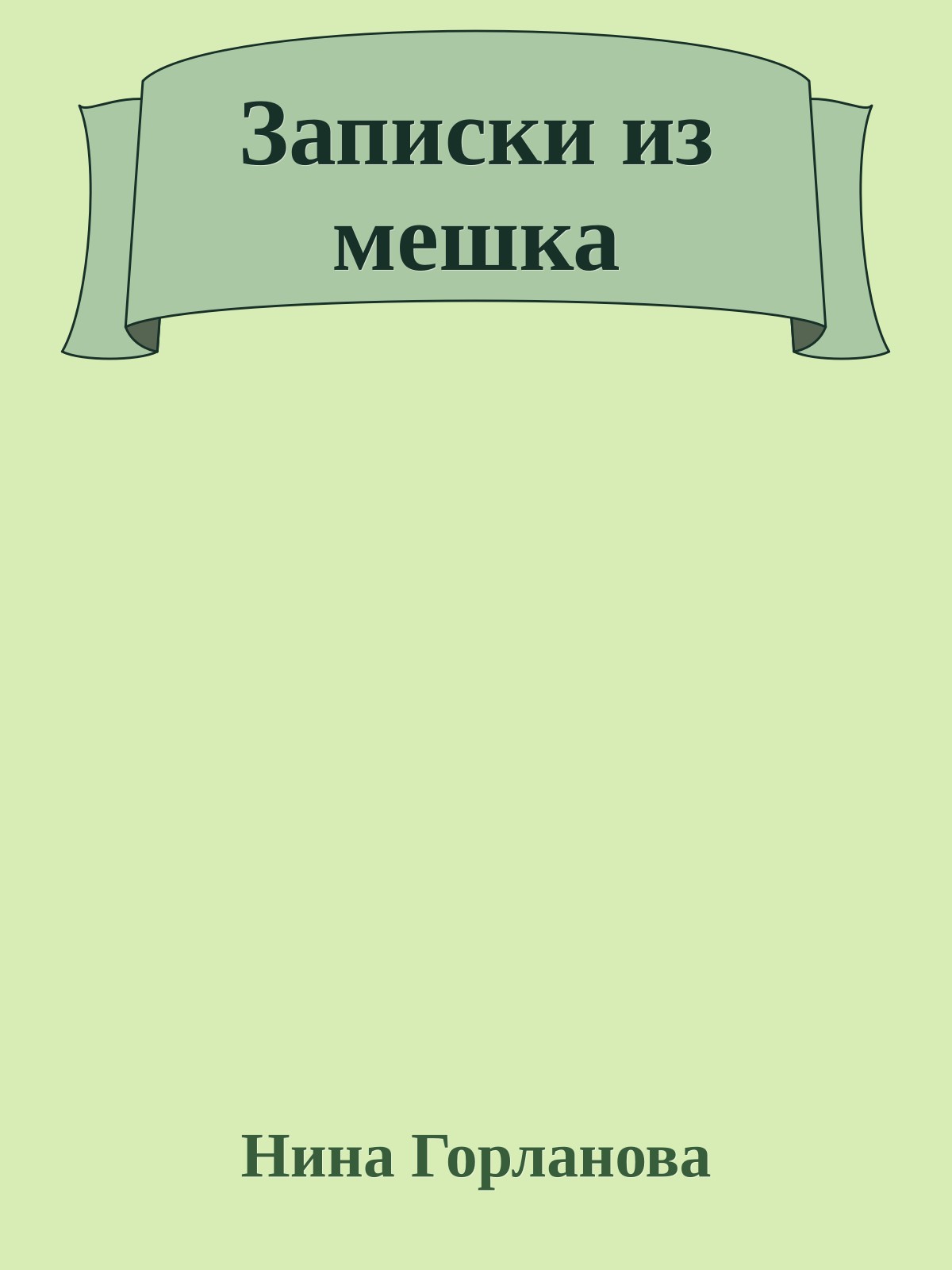 Записки из мешка