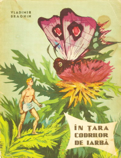 In Tara Codrilor de Iarba