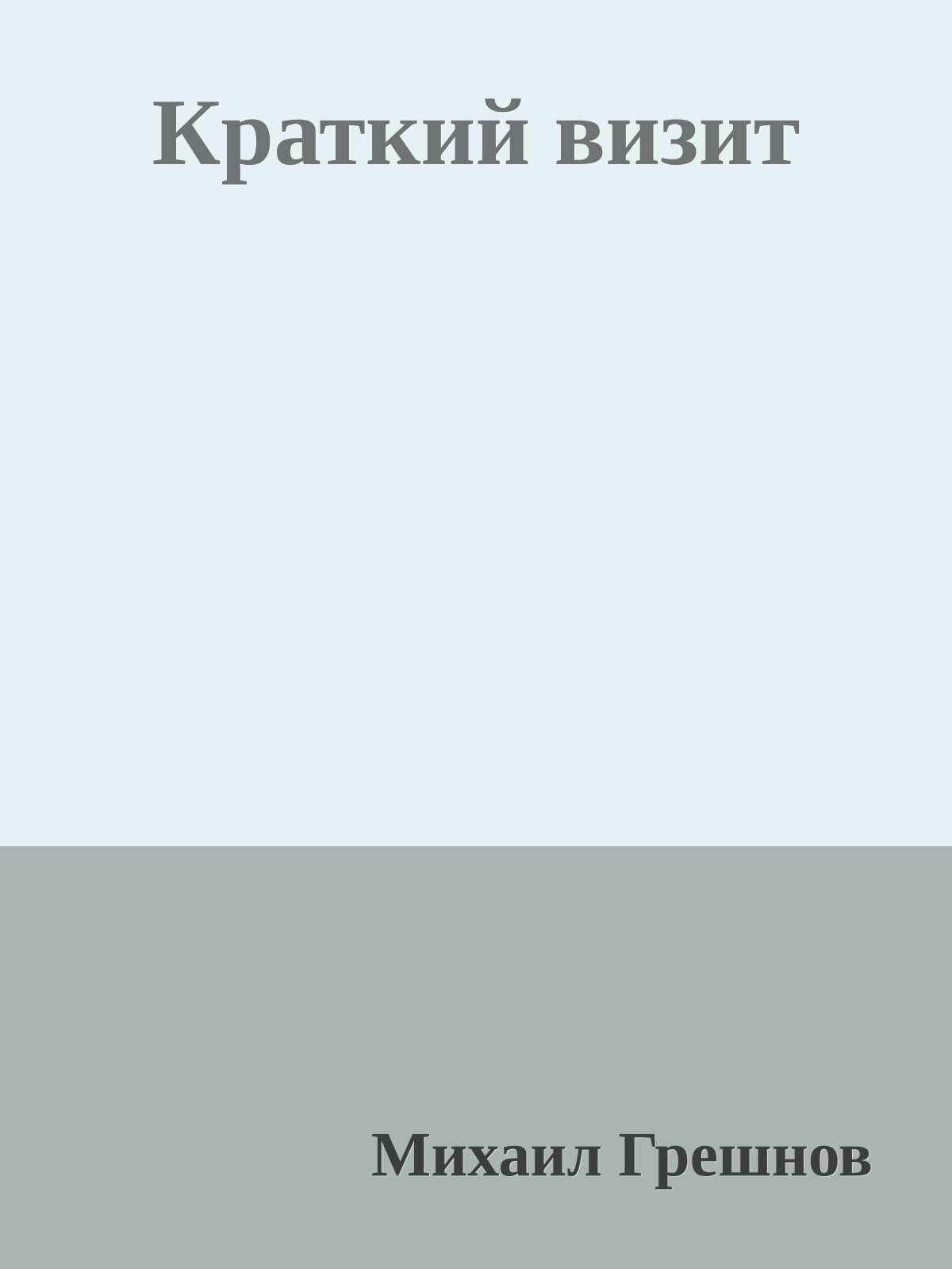 Краткий визит