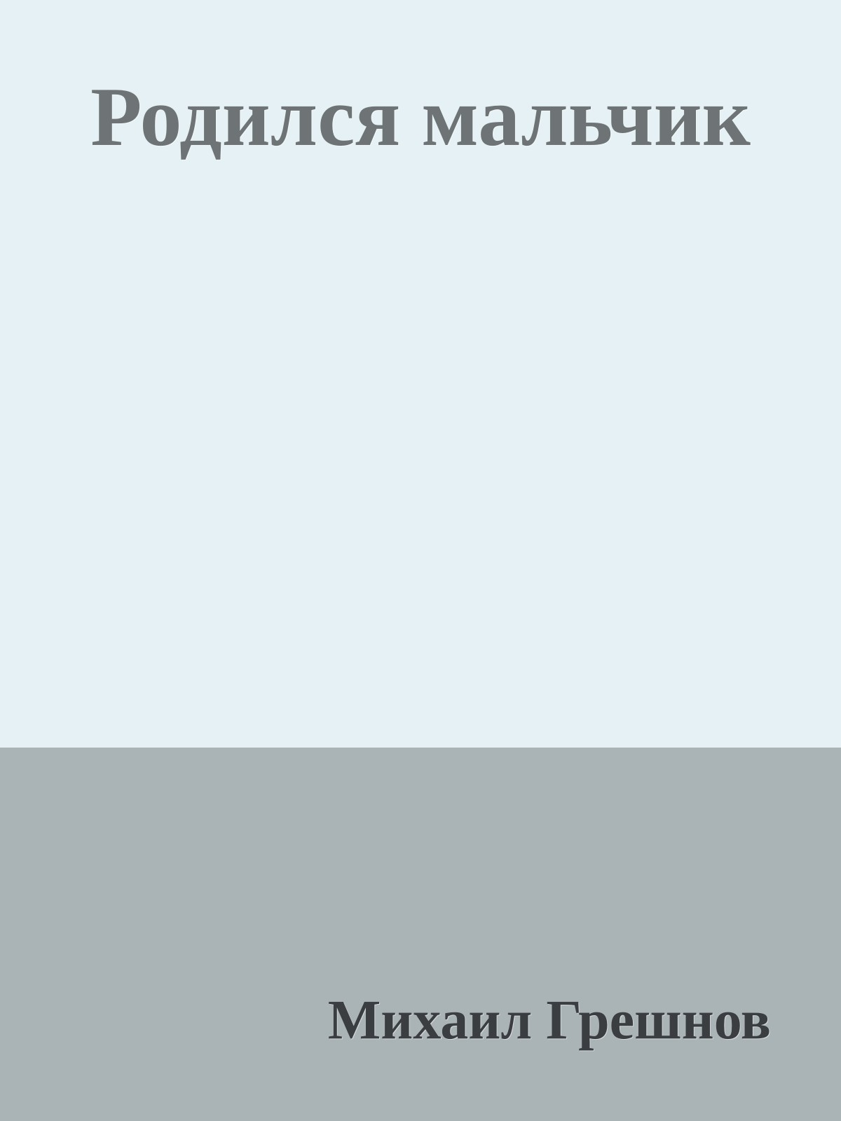 Родился мальчик