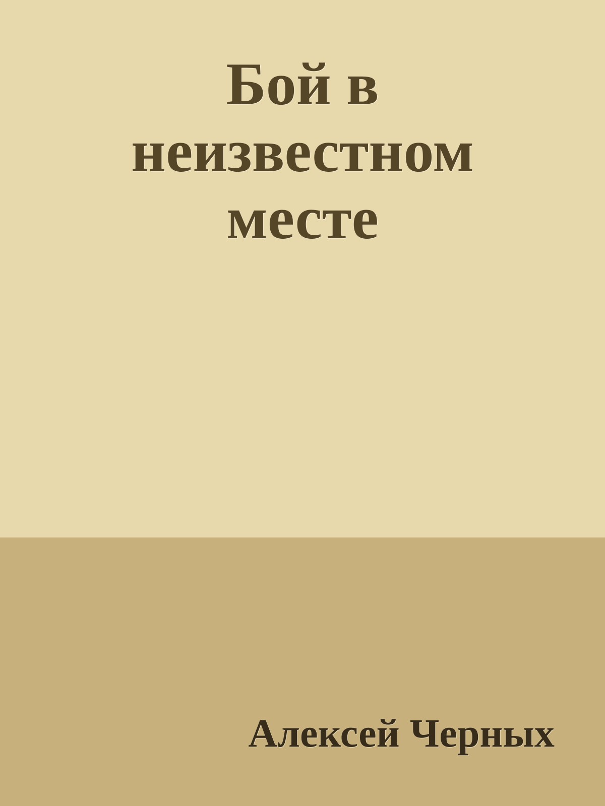 Бой в неизвестном месте