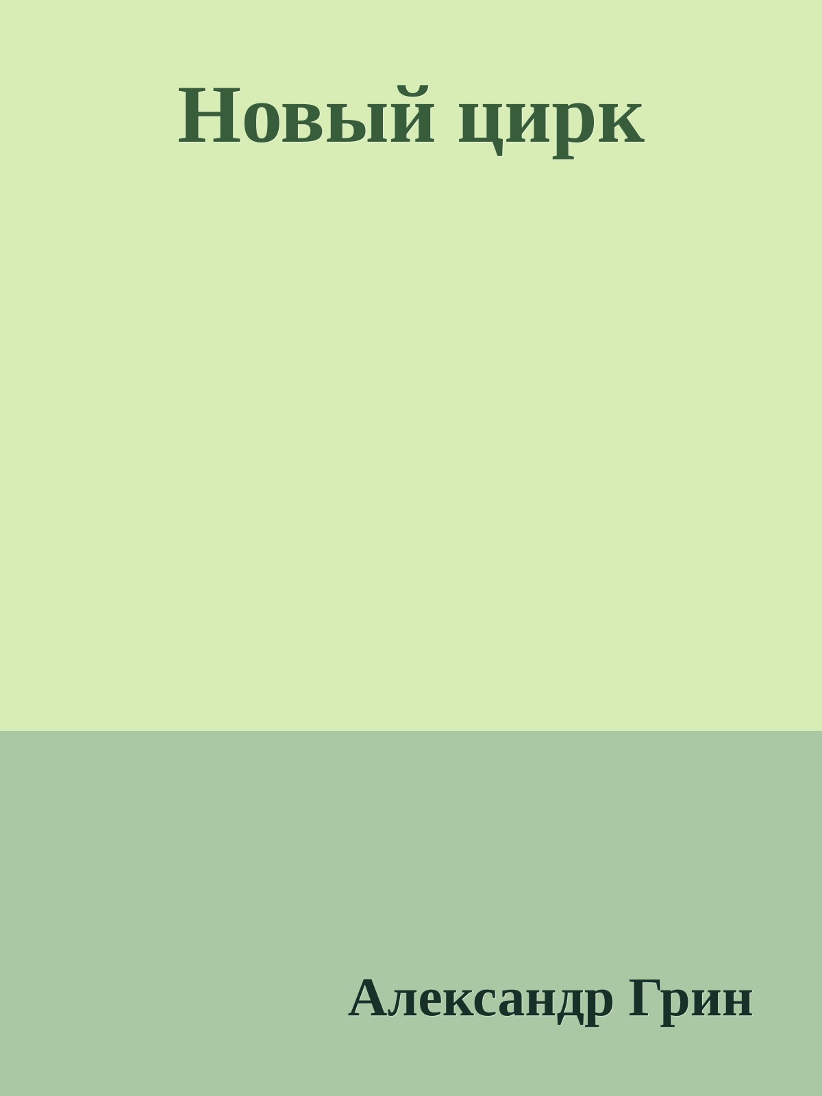 Новый цирк