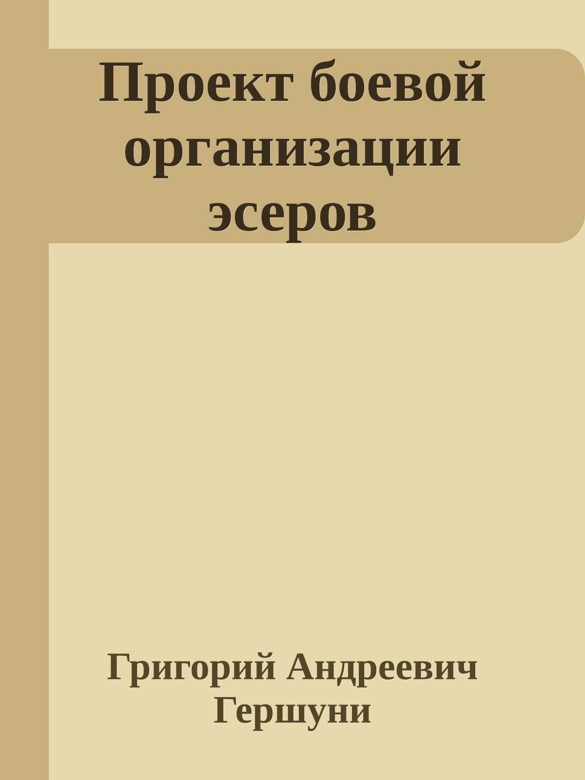Проект боевой организации эсеров