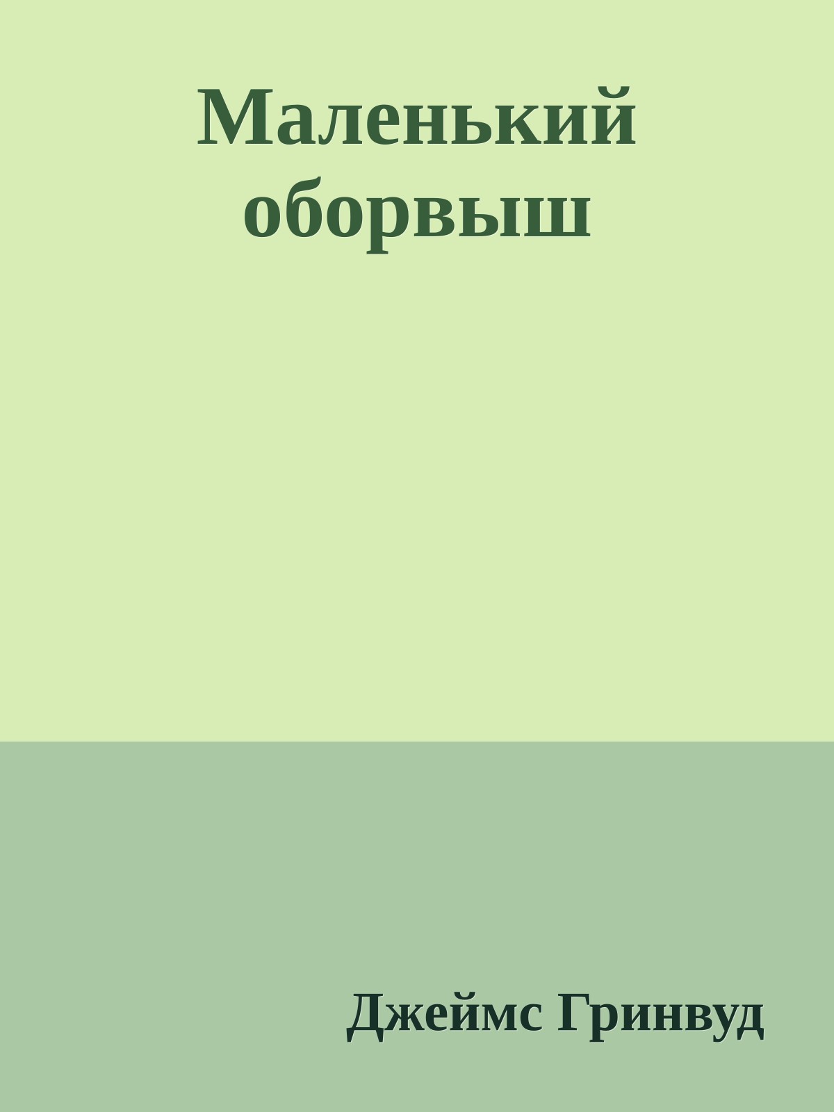 Маленький оборвыш