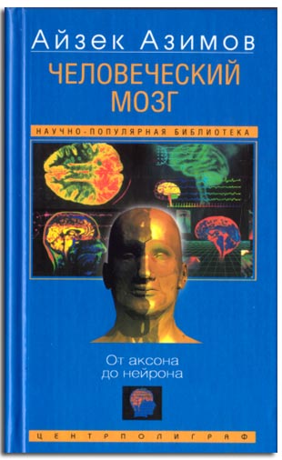 Человеческий мозг