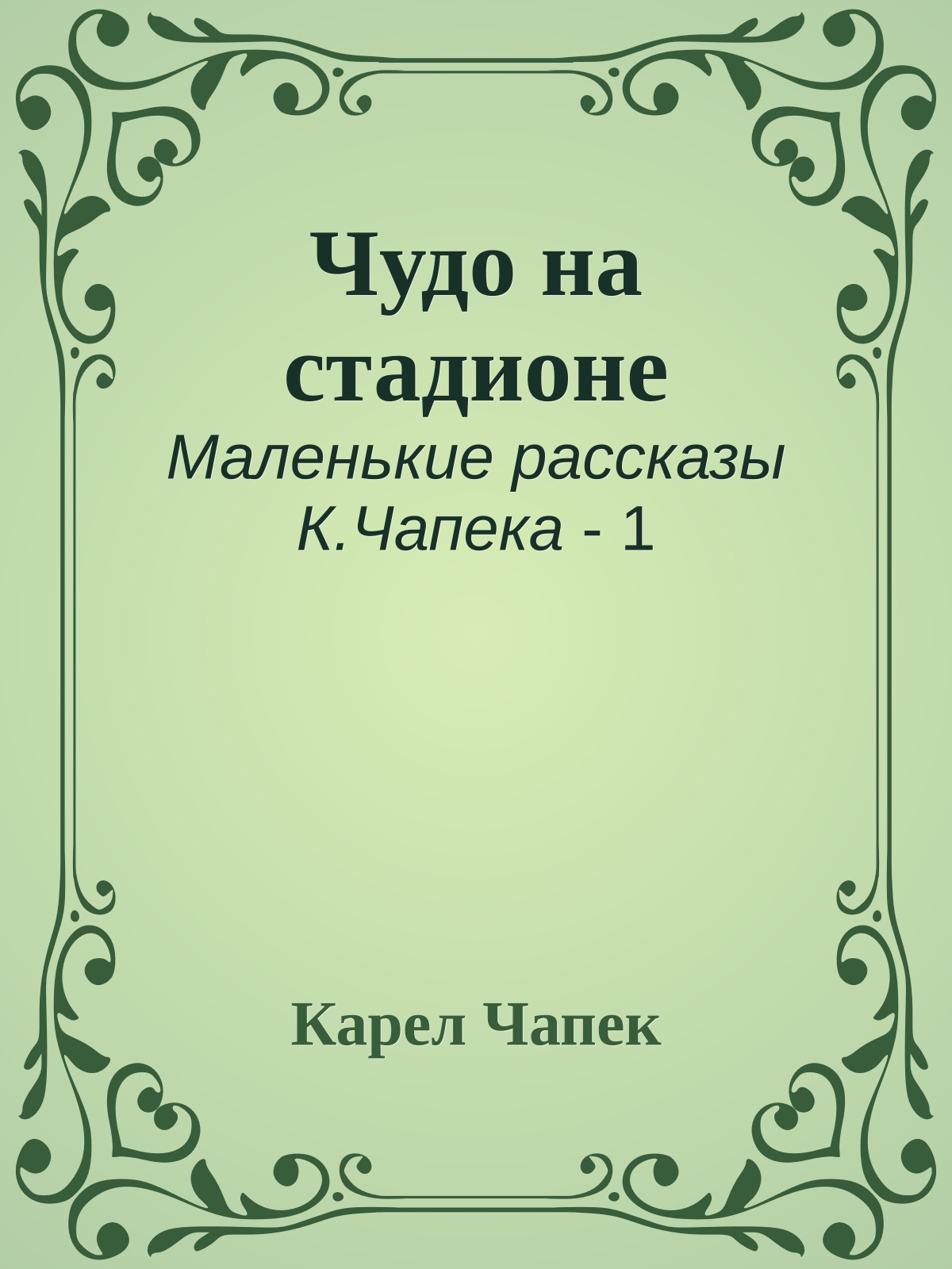 Чудо на стадионе