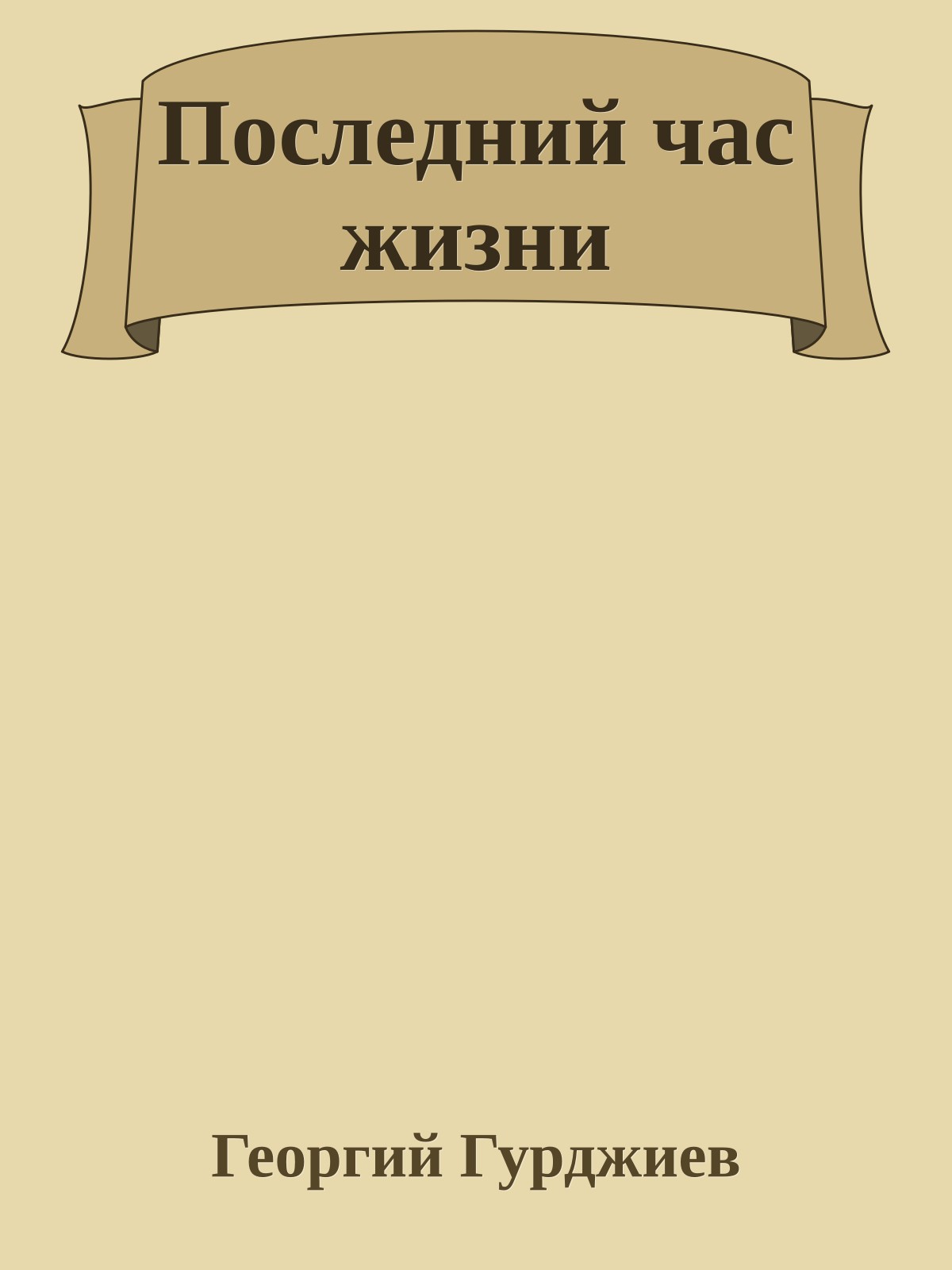 Последний час жизни