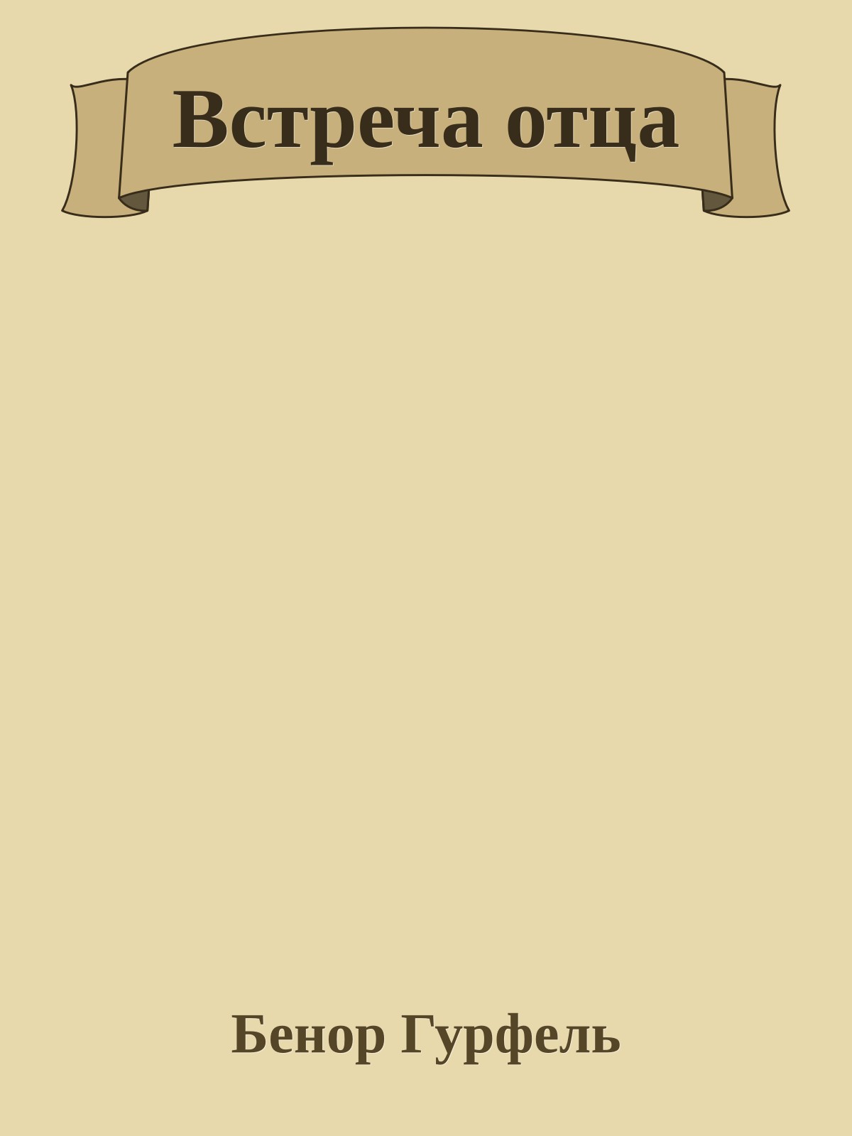 Встреча отца