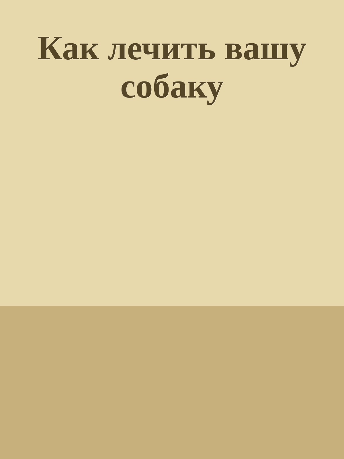 Как лечить вашу собаку