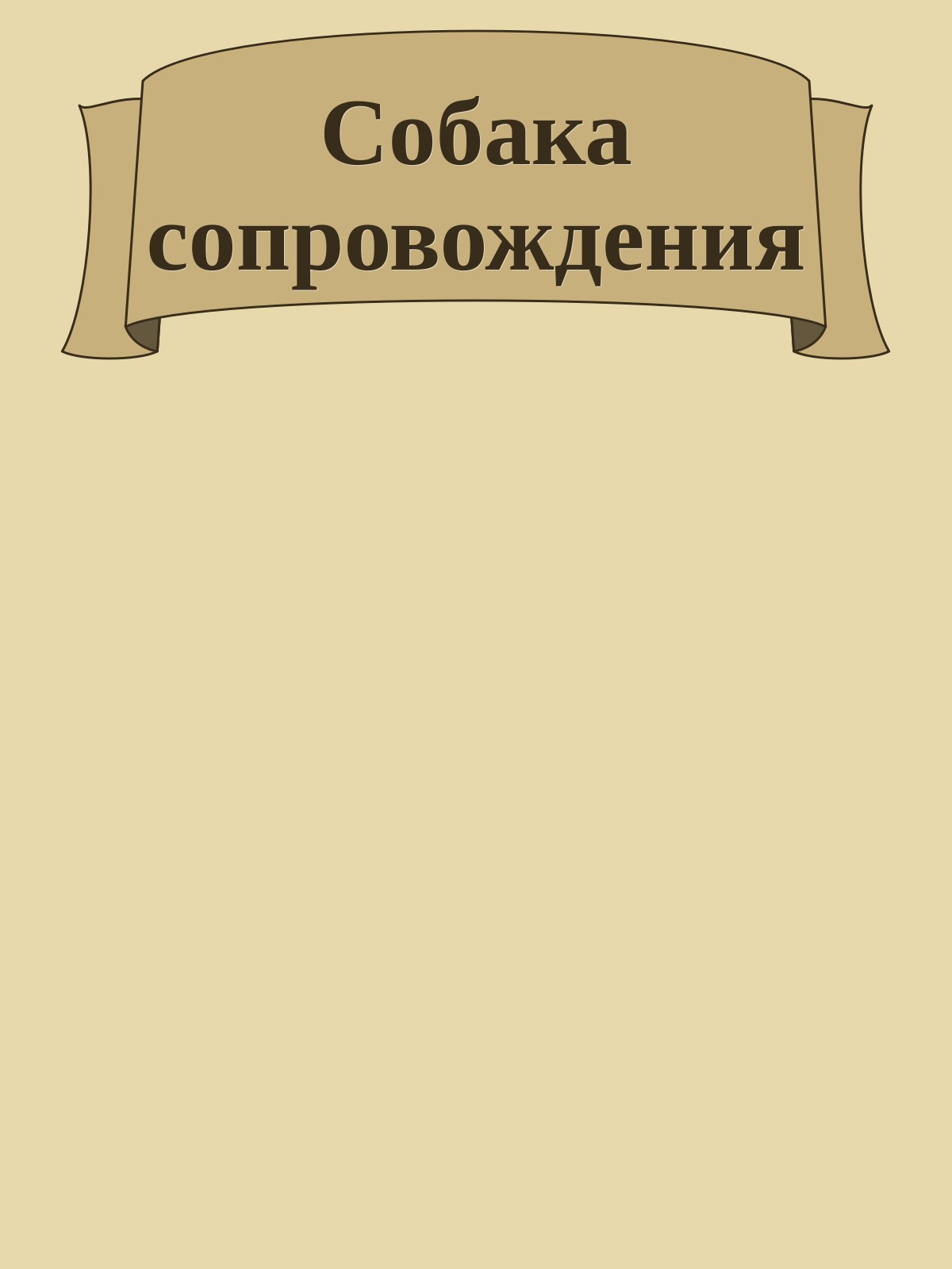 Собака сопровождения