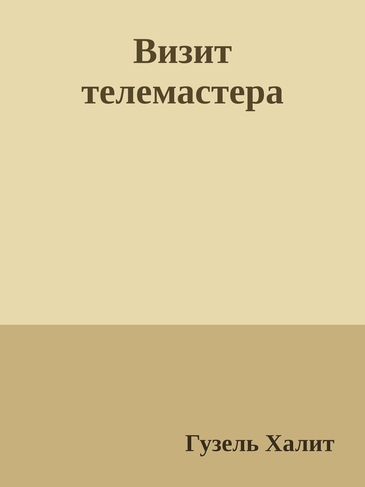 Визит телемастеpа
