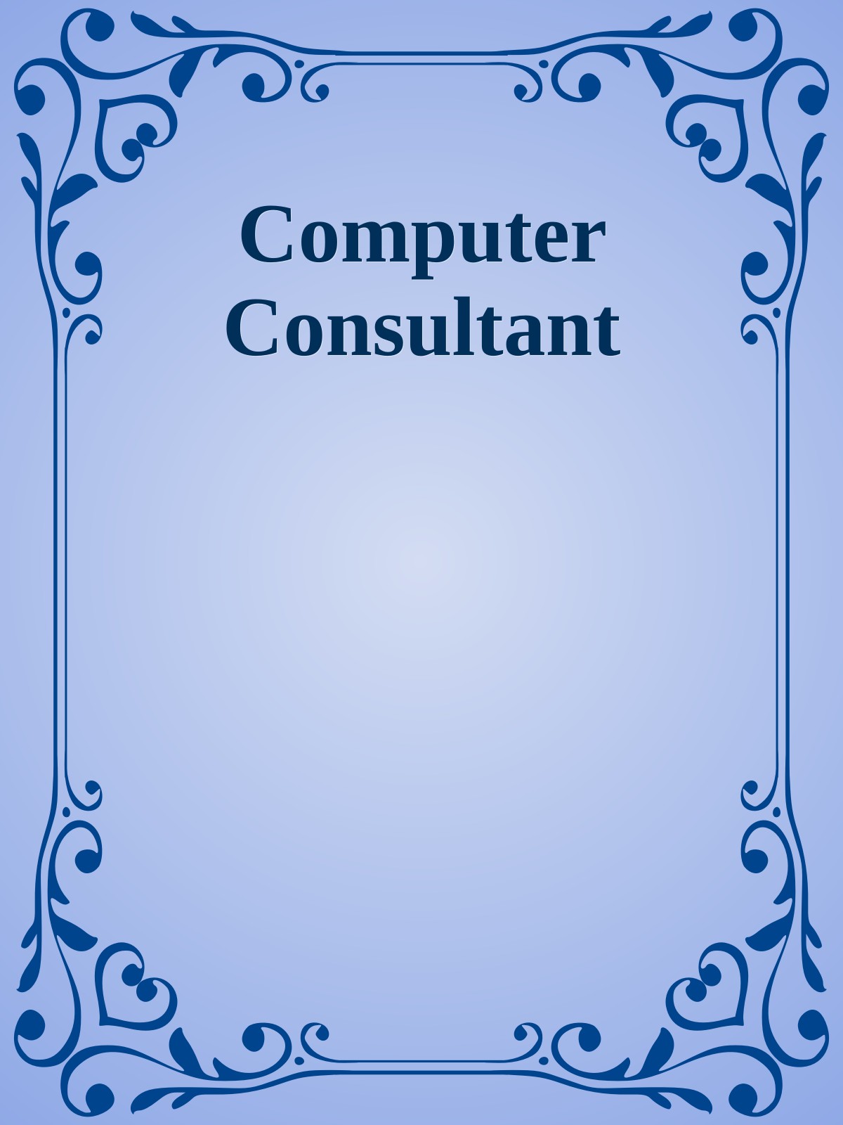 Computer Consultant