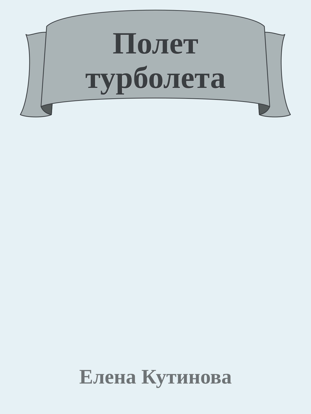 Полет турболета