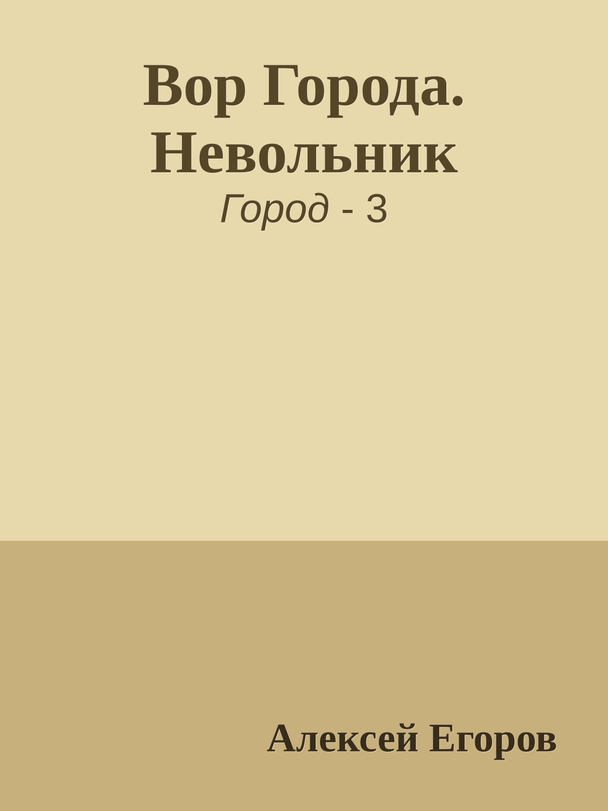 Вор Города. Невольник