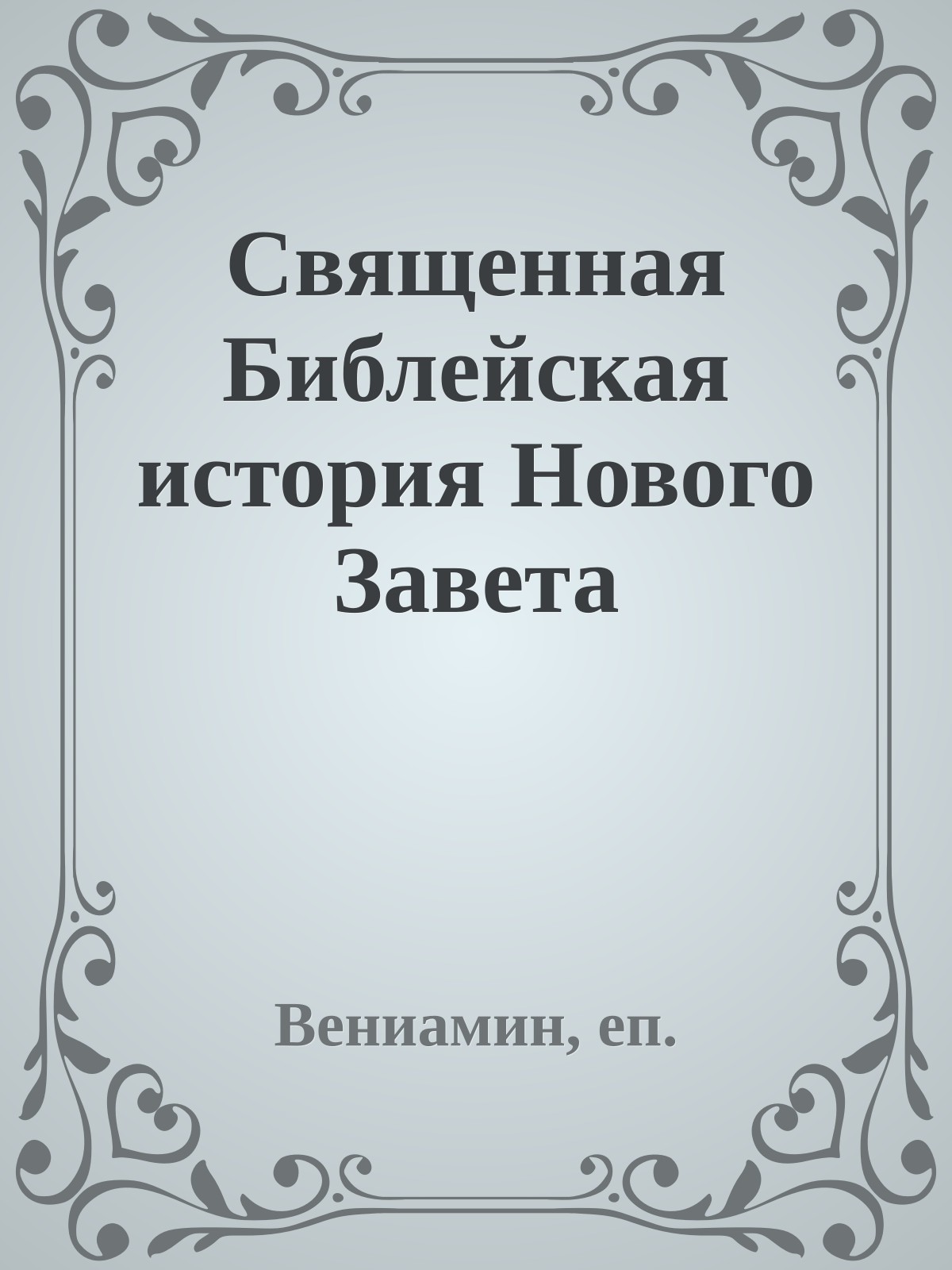 Священная Библейская история Нового Завета