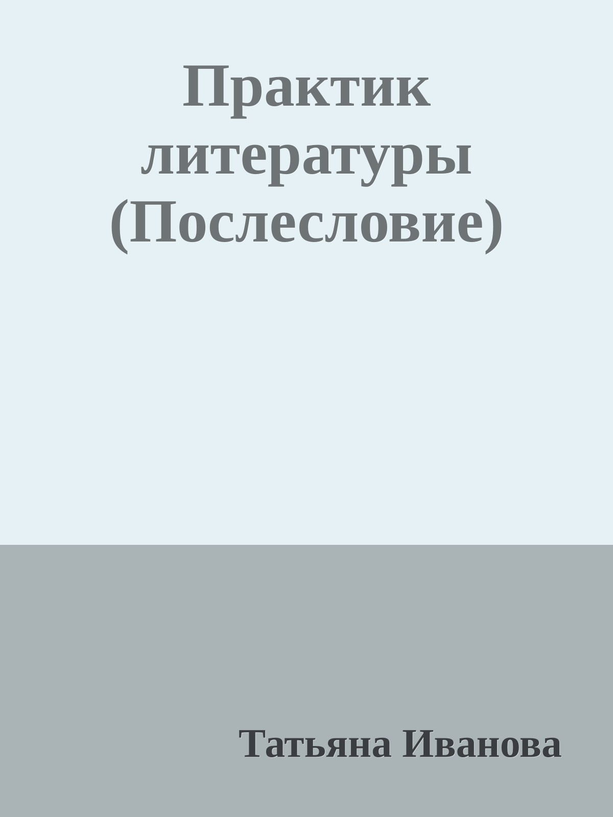 Практик литературы (Послесловие)