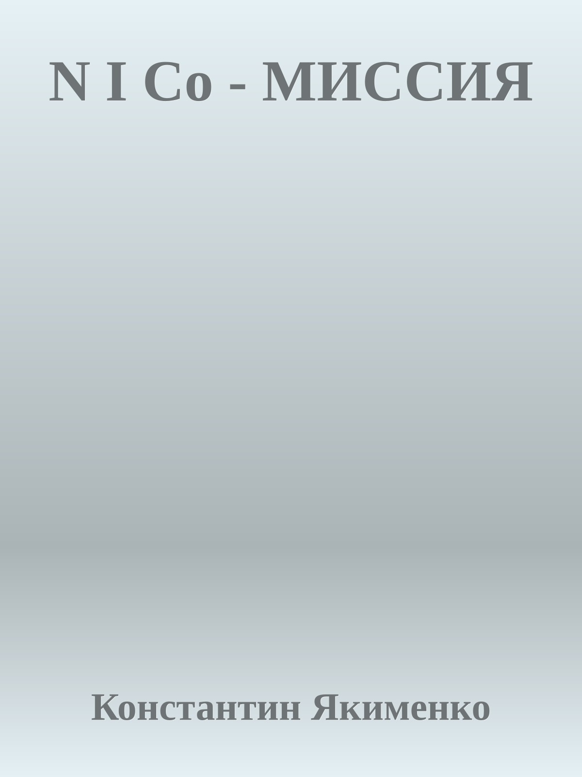 N I Co - МИССИЯ