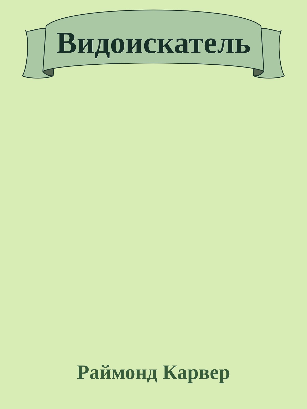 Видоискатель