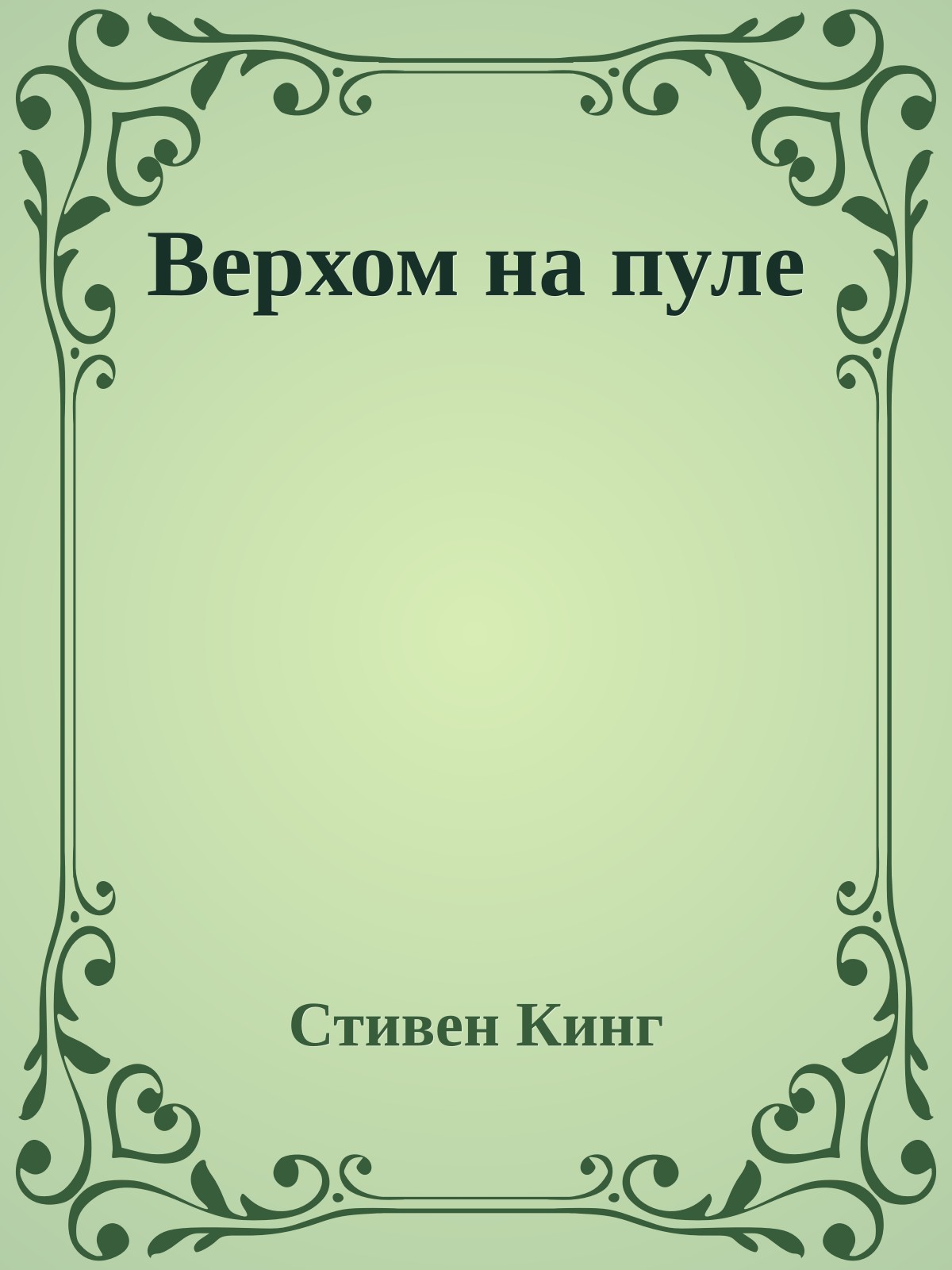 Верхом на пуле