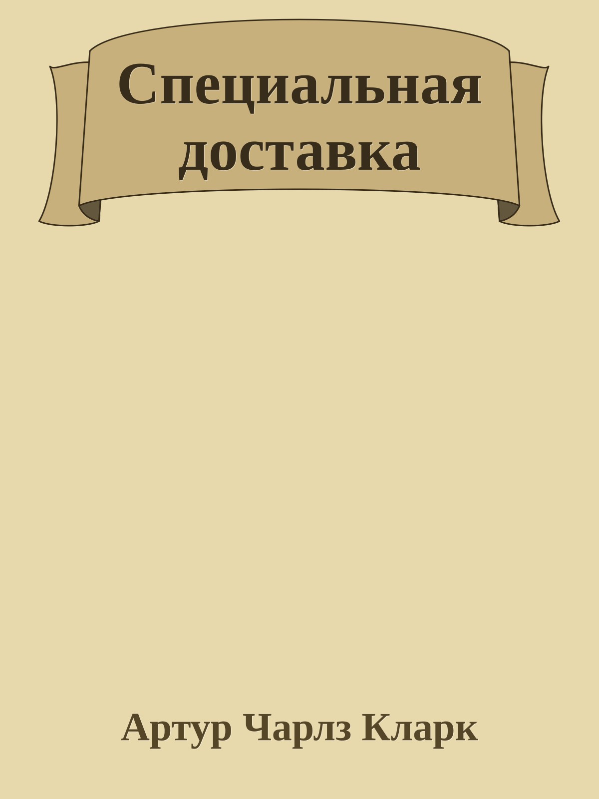 Специальная доставка