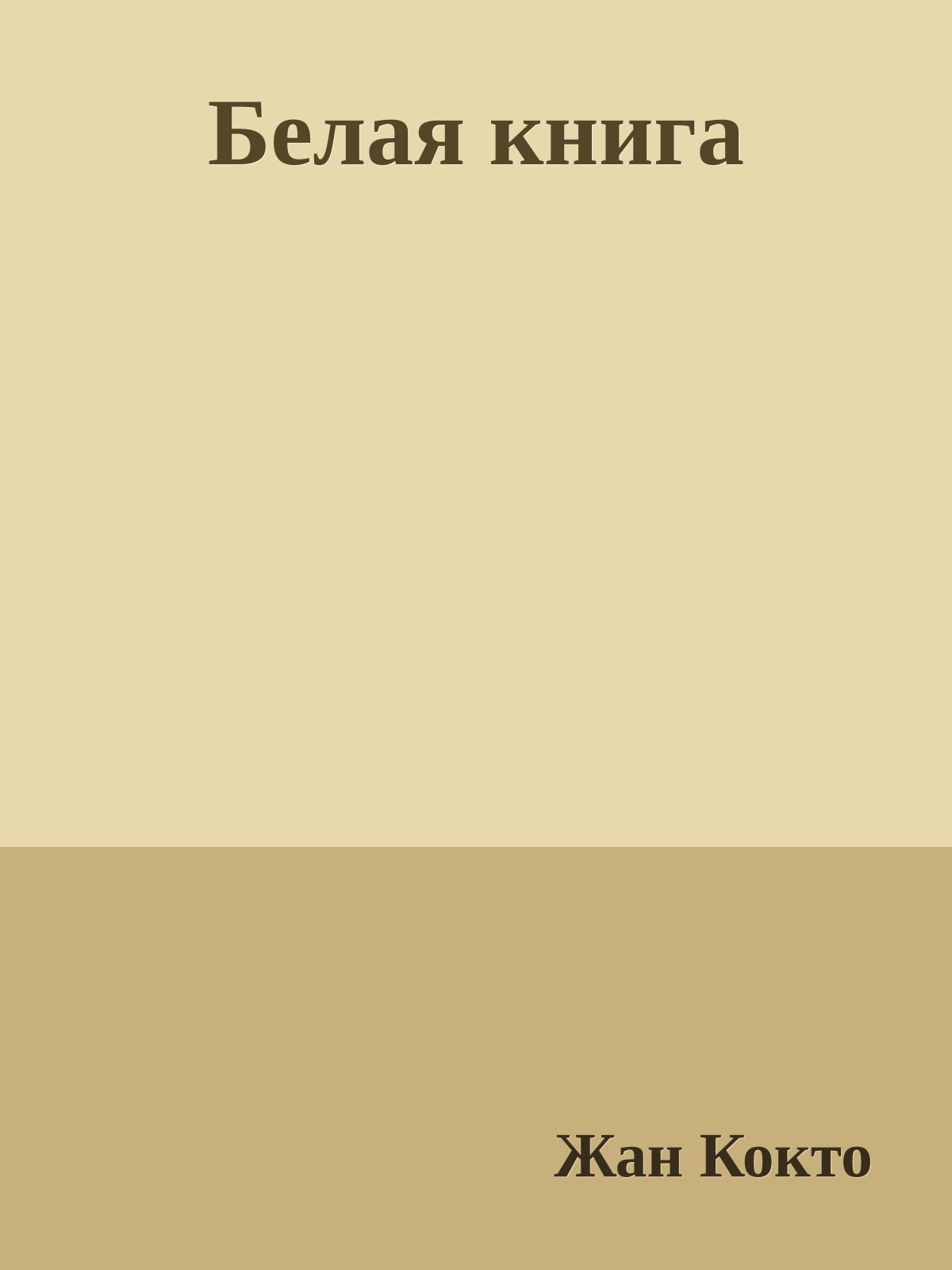 Белая книга