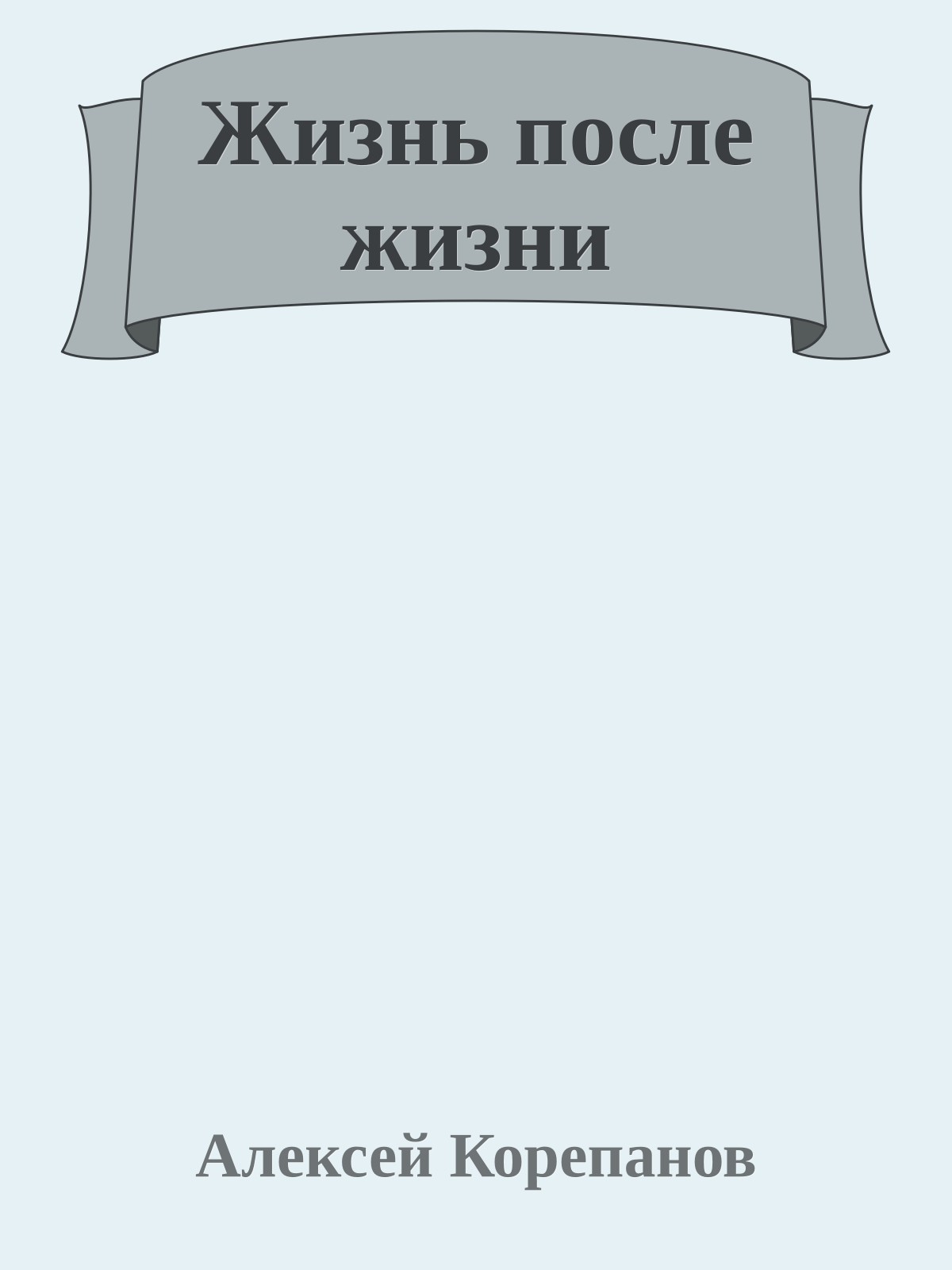 Жизнь после жизни