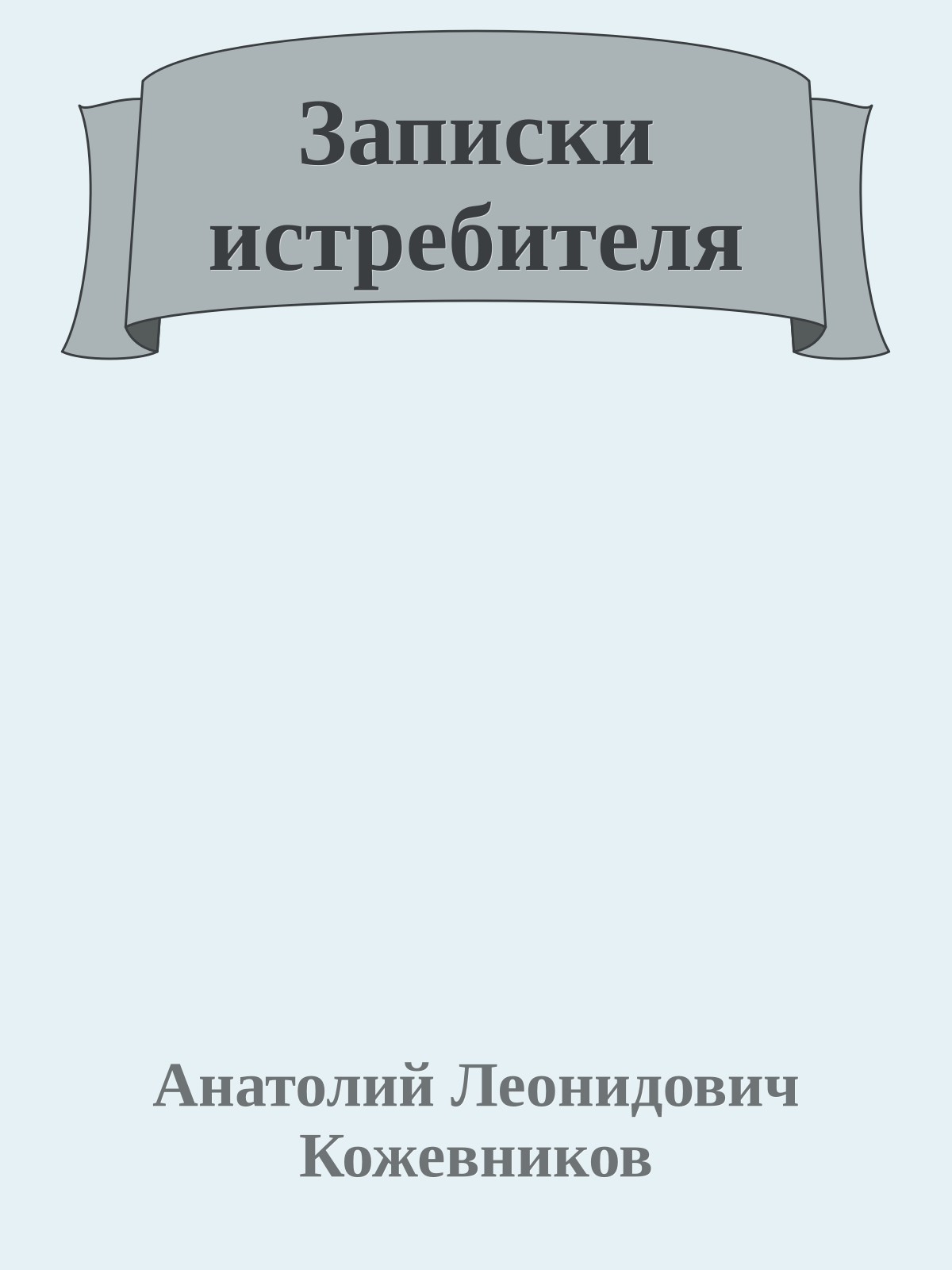 Записки истребителя