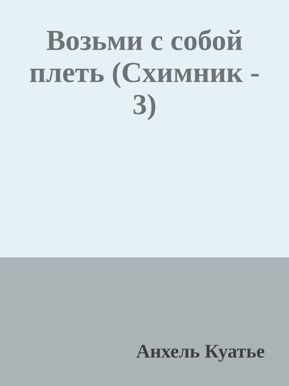 Возьми с собой плеть (Схимник - 3)