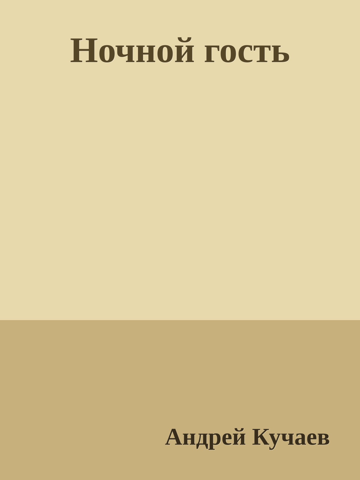 Ночной гость