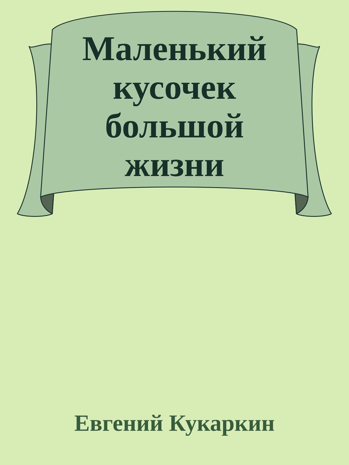 Маленький кусочек большой жизни
