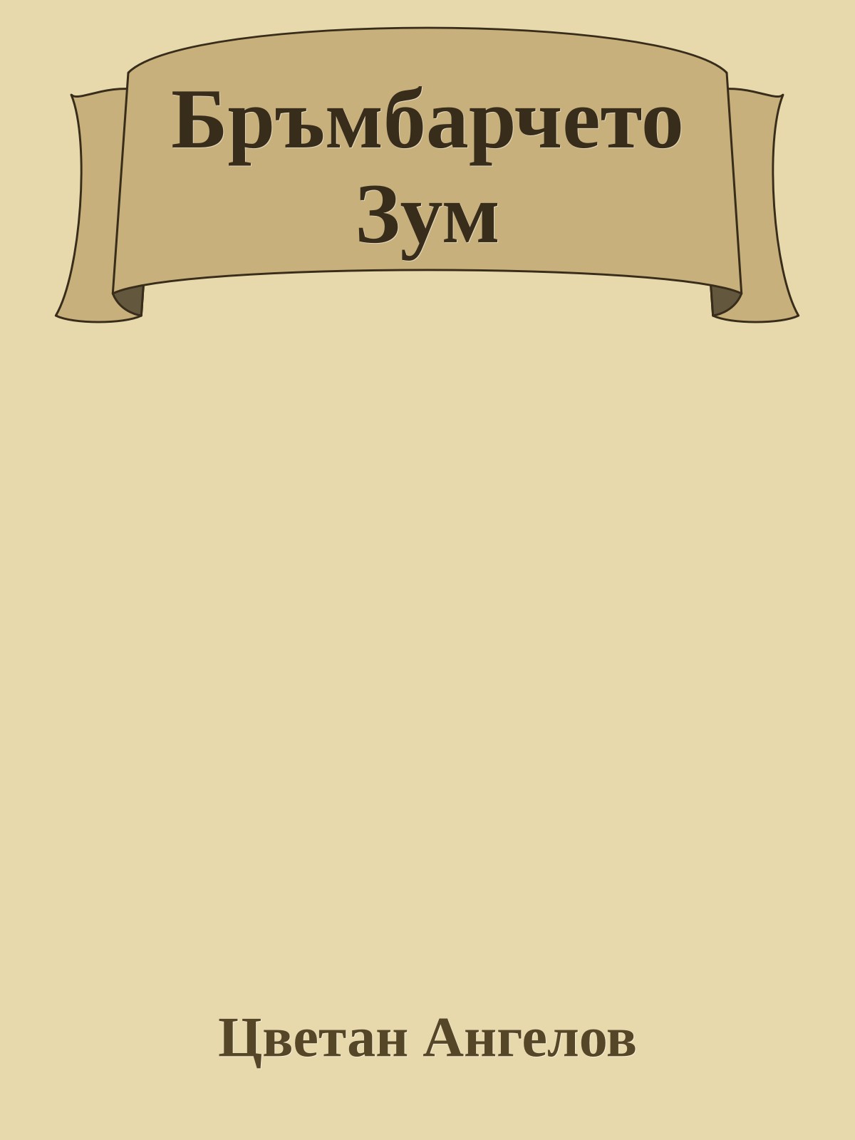 Бръмбарчето Зум